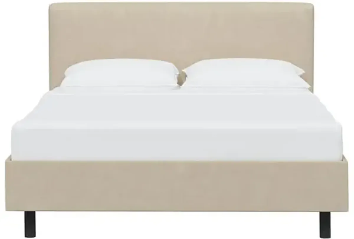 Novak Faux Leather Bed - Beige