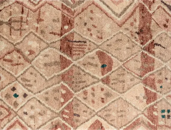 Doukkala Gnibi Hand-Knotted Rug - Natural - Beige - Beige