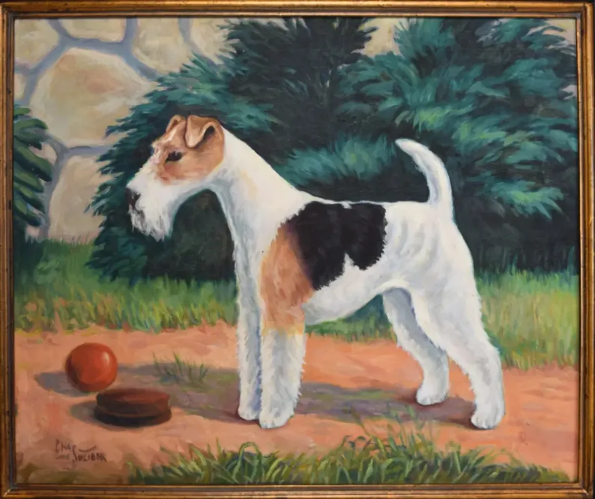 Wirehair Fox Terrier Dog Portrait C.1920 - Antiquarian Art Company - Brown