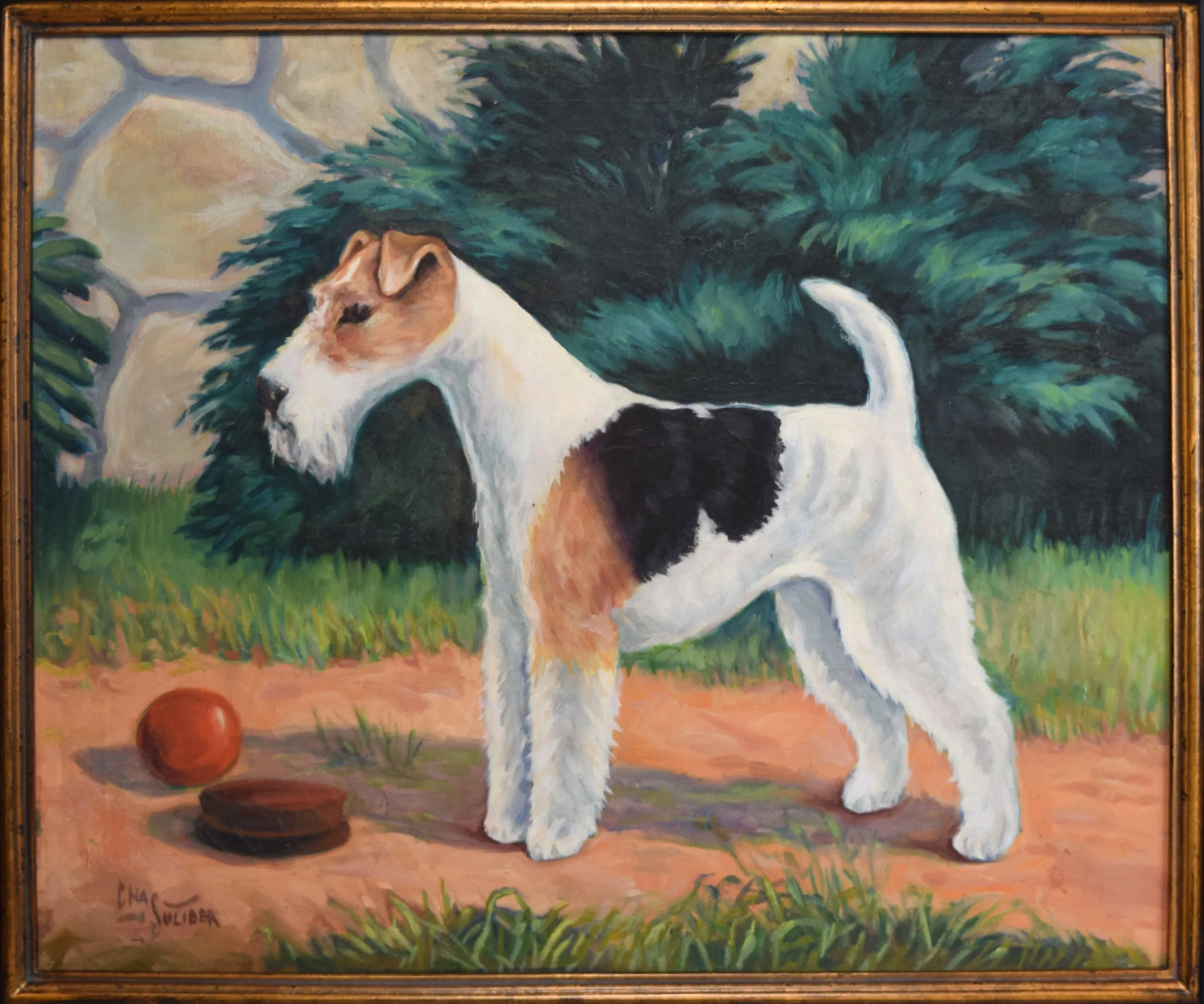 Wirehair Fox Terrier Dog Portrait C.1920 - Antiquarian Art Company - Brown