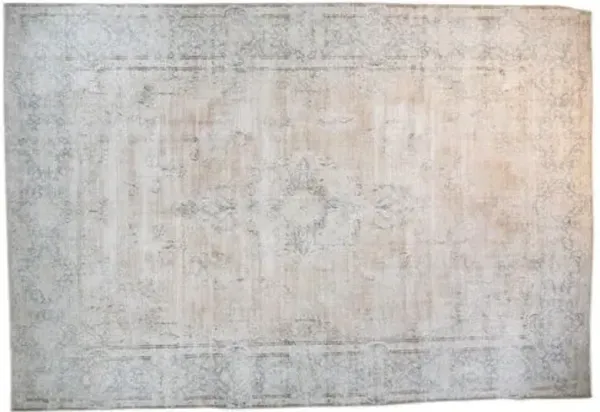 10'x14' Drake Rug - Taupe/Blue - F.J. Kashanian - Blue
