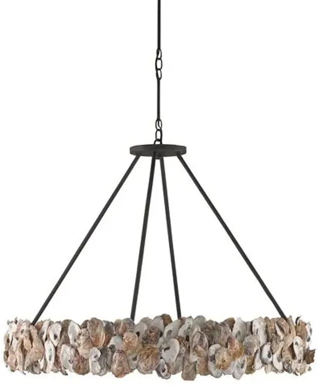 Oyster Chandelier - Bronze/Natural - Currey & Company