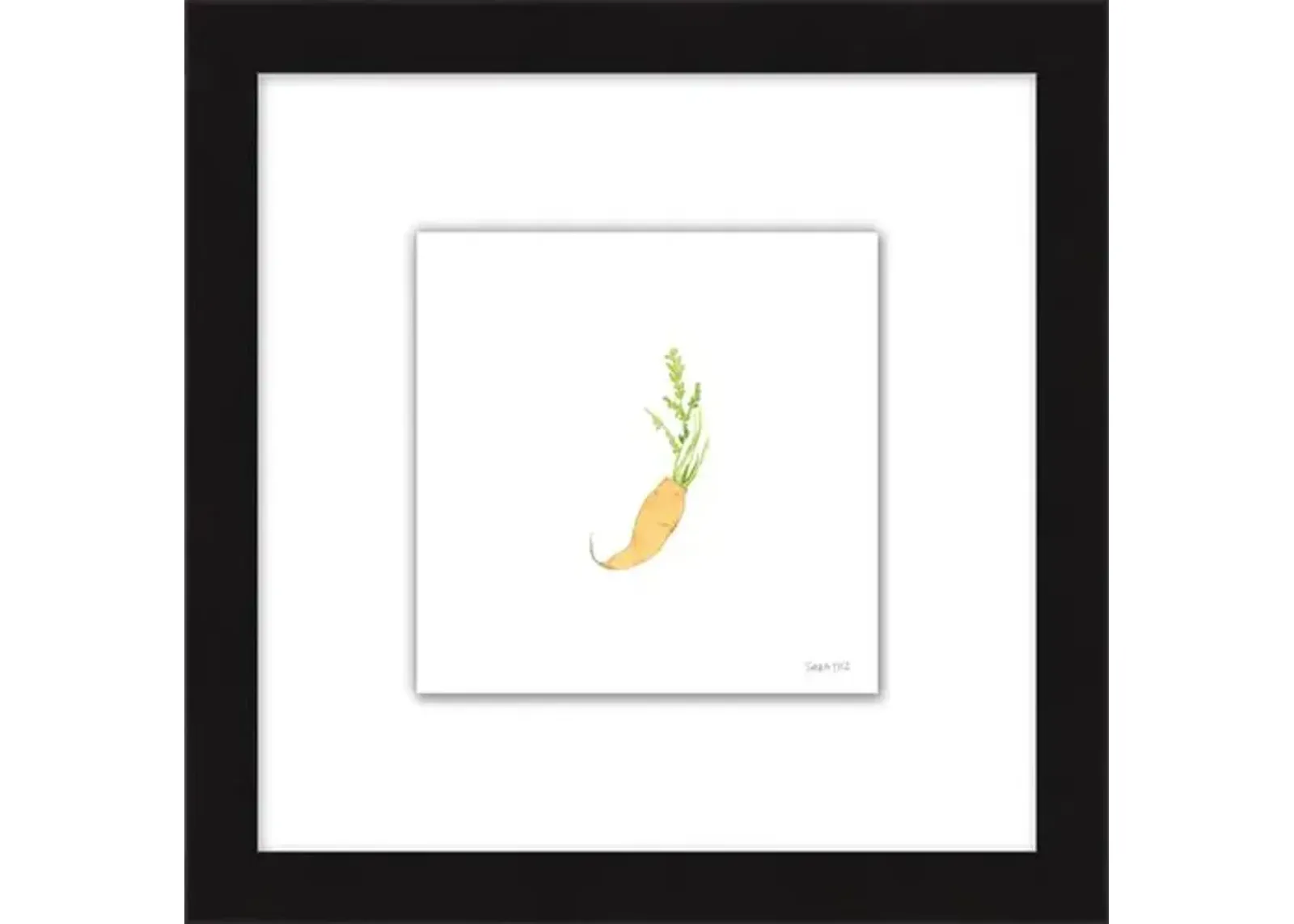 Sara Fitz - Carrot 2