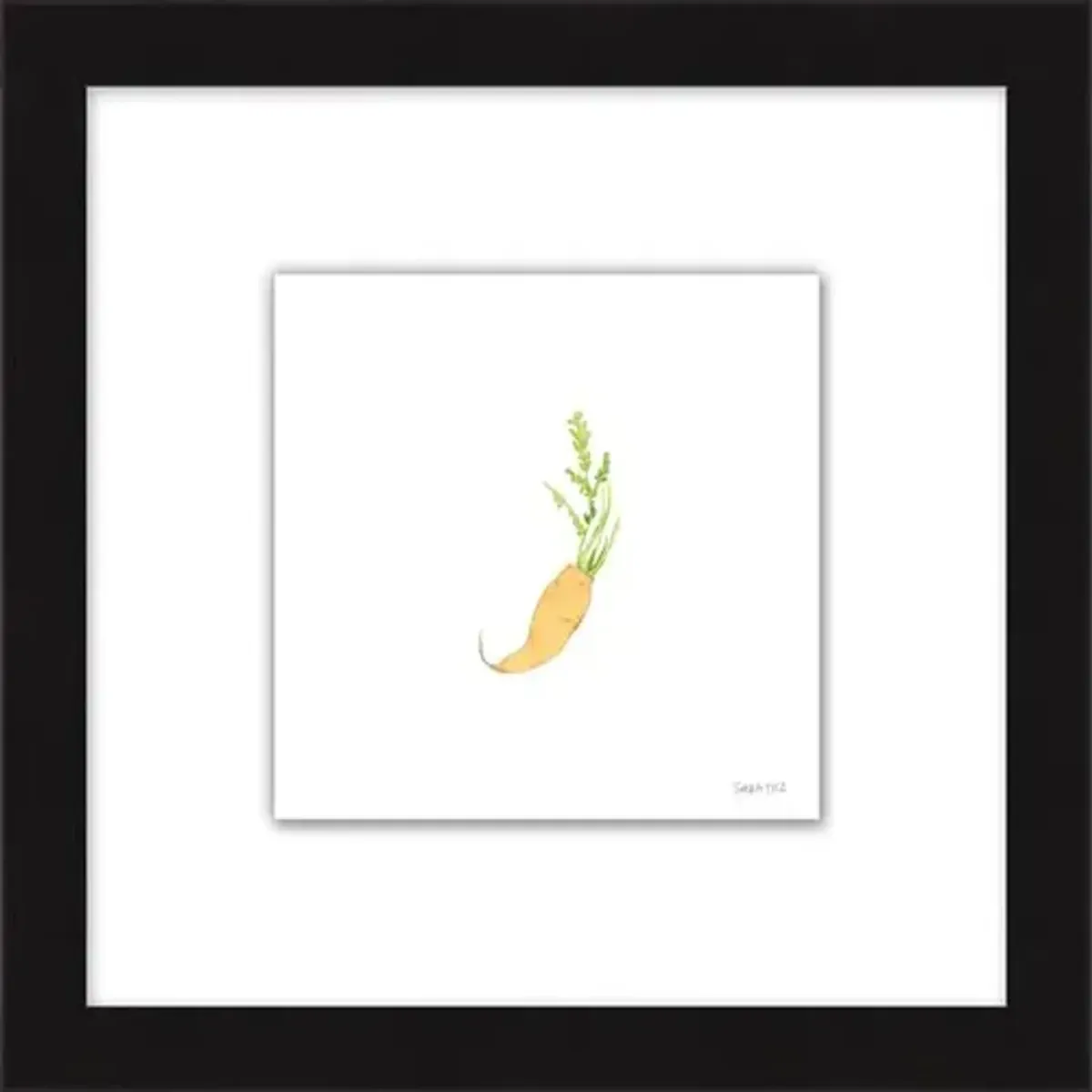 Sara Fitz - Carrot 2