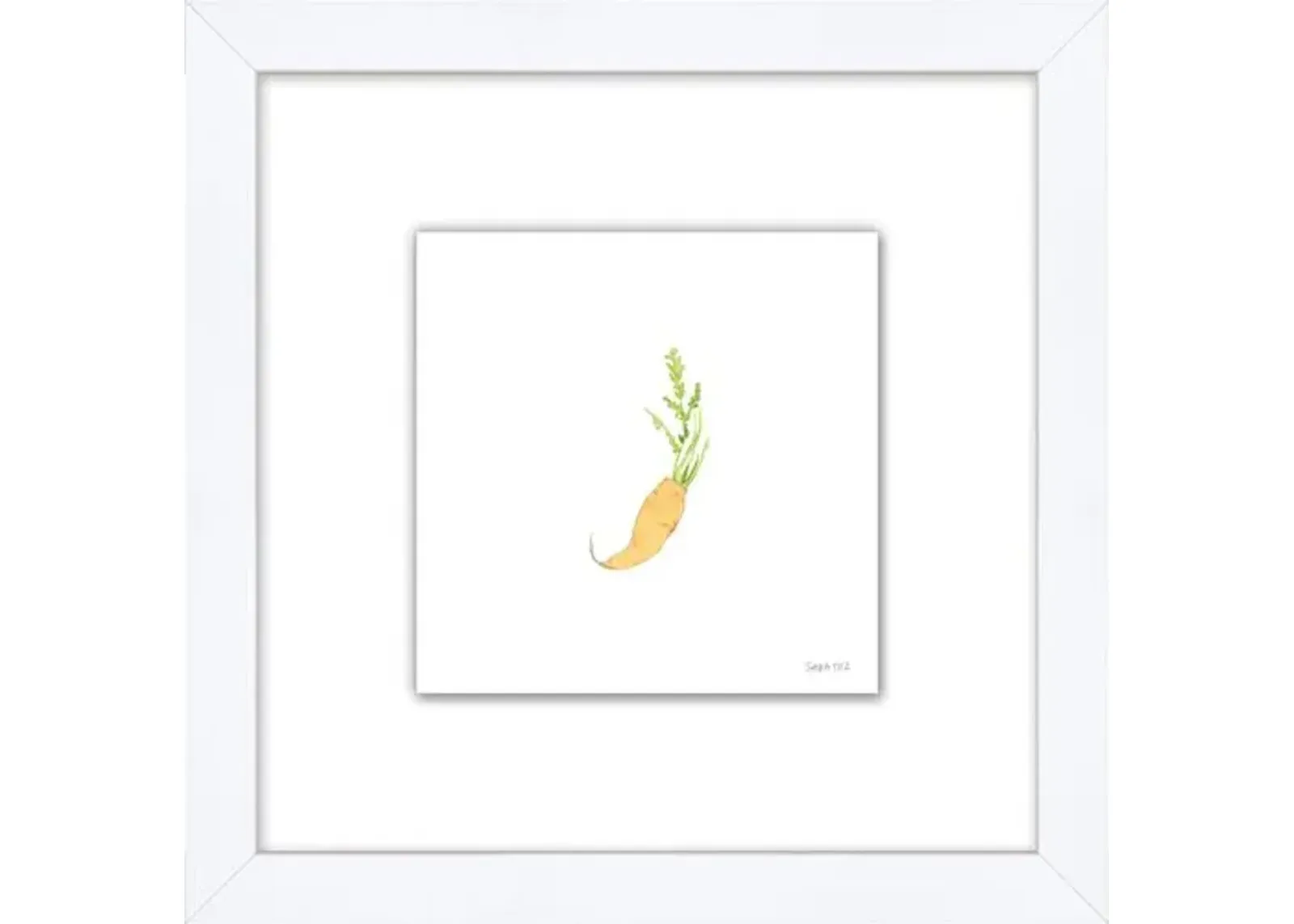 Sara Fitz - Carrot 2