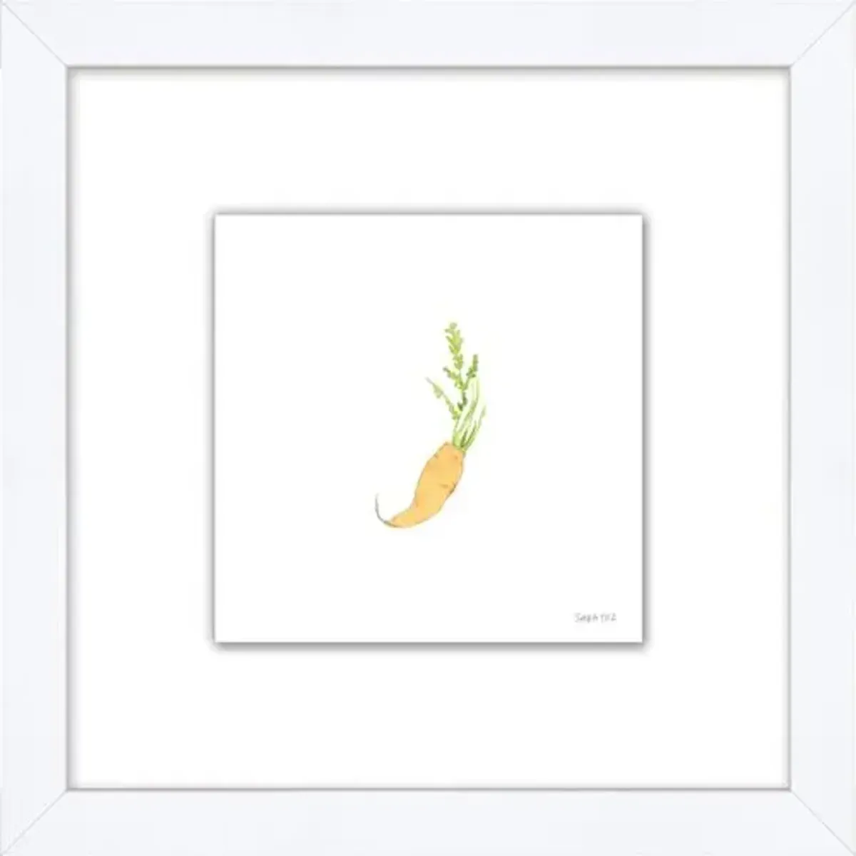 Sara Fitz - Carrot 2