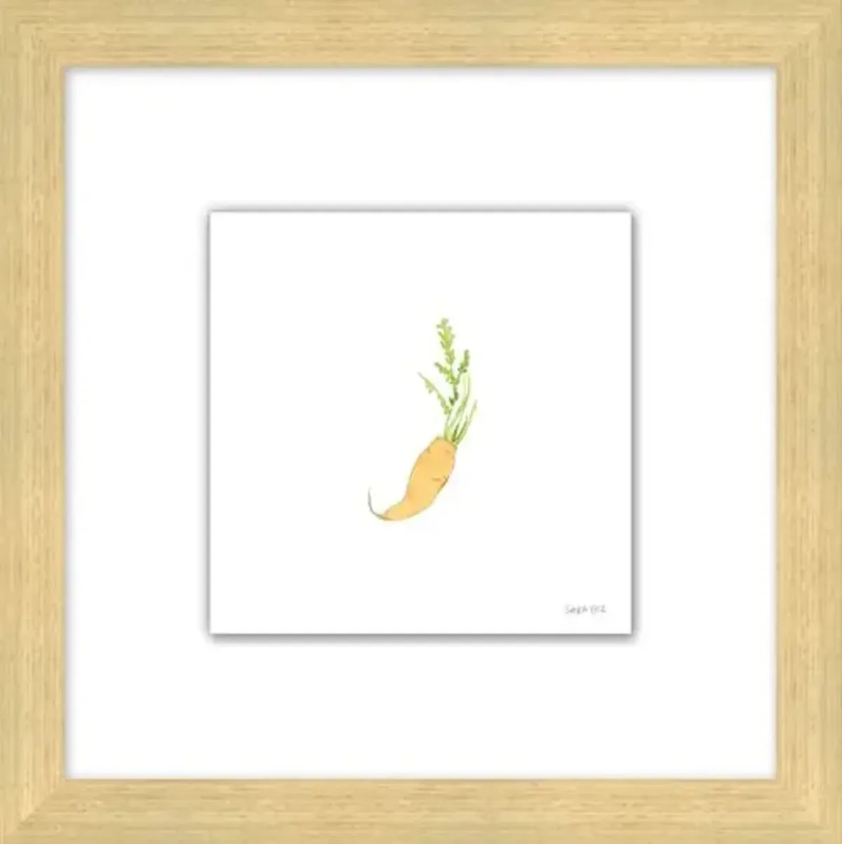 Sara Fitz - Carrot 2