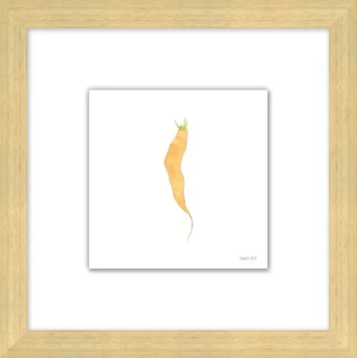 Sara Fitz - Carrot 3