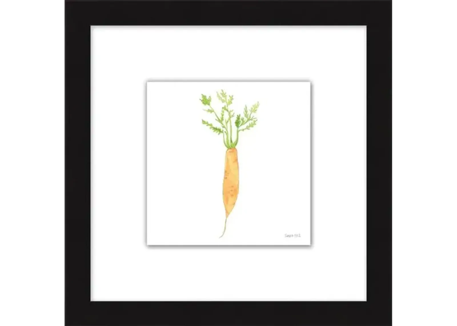 Sara Fitz - Carrot 4