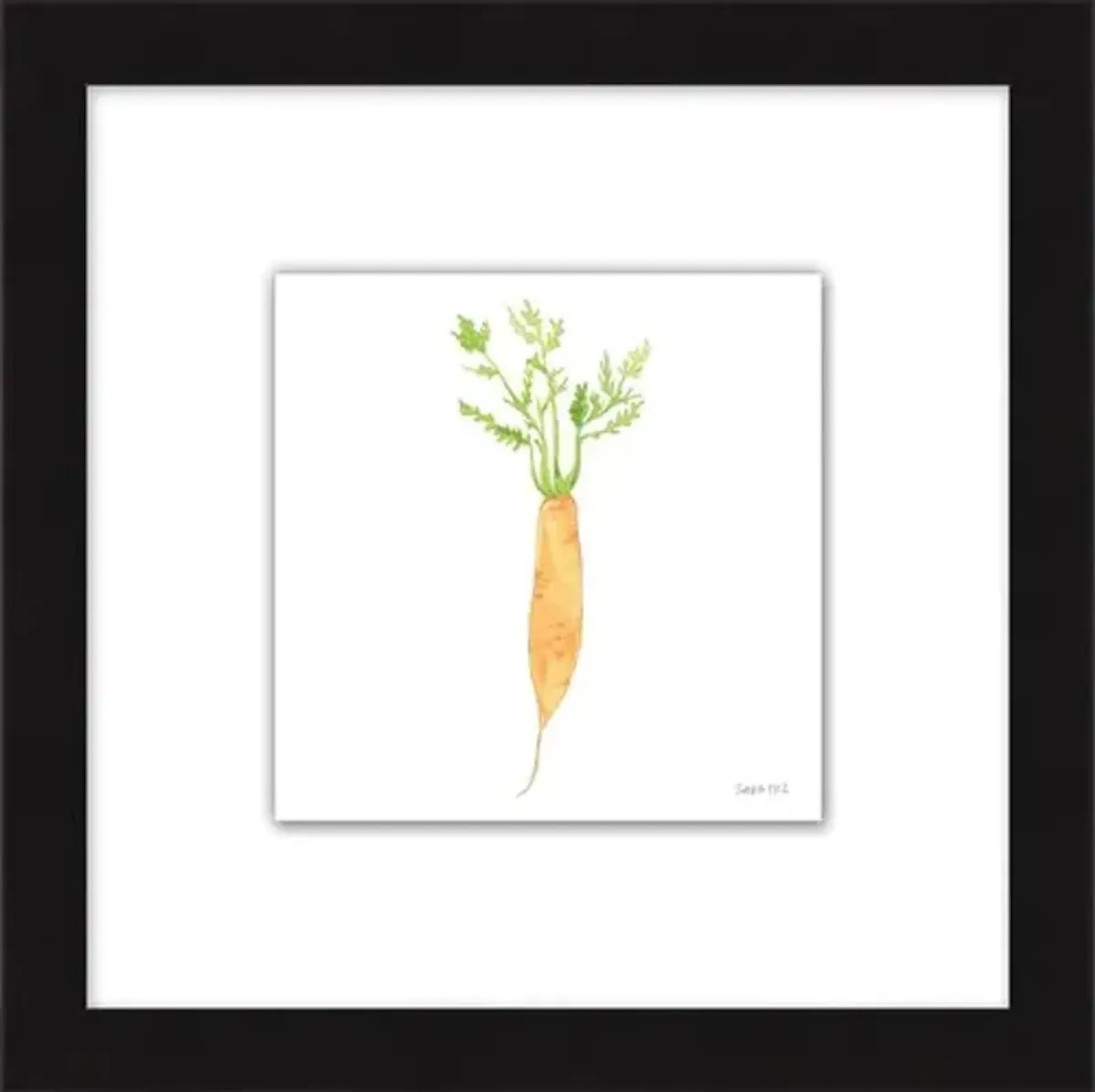 Sara Fitz - Carrot 4