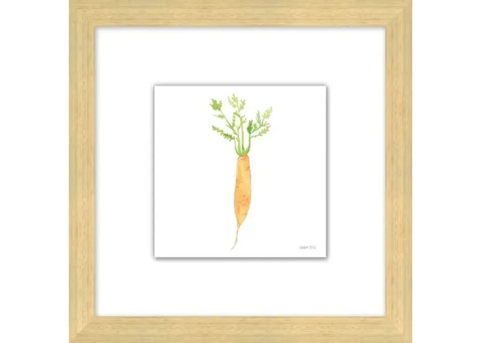 Sara Fitz - Carrot 4