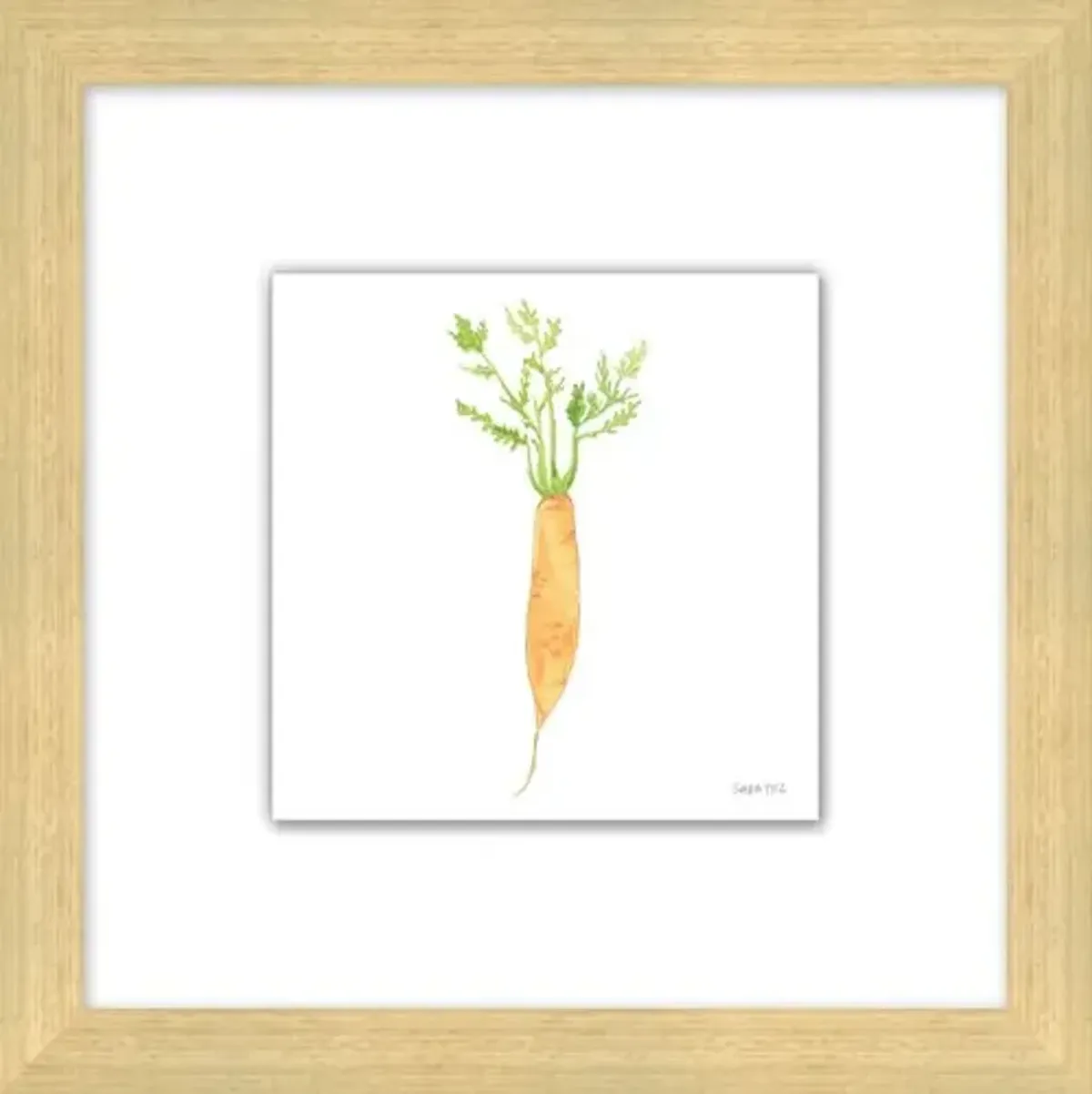 Sara Fitz - Carrot 4