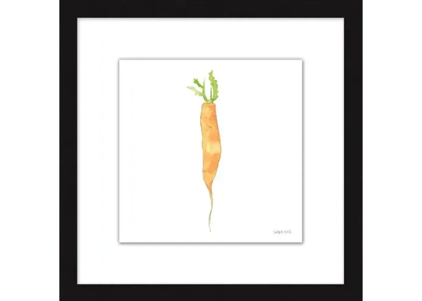 Sara Fitz - Carrot 1