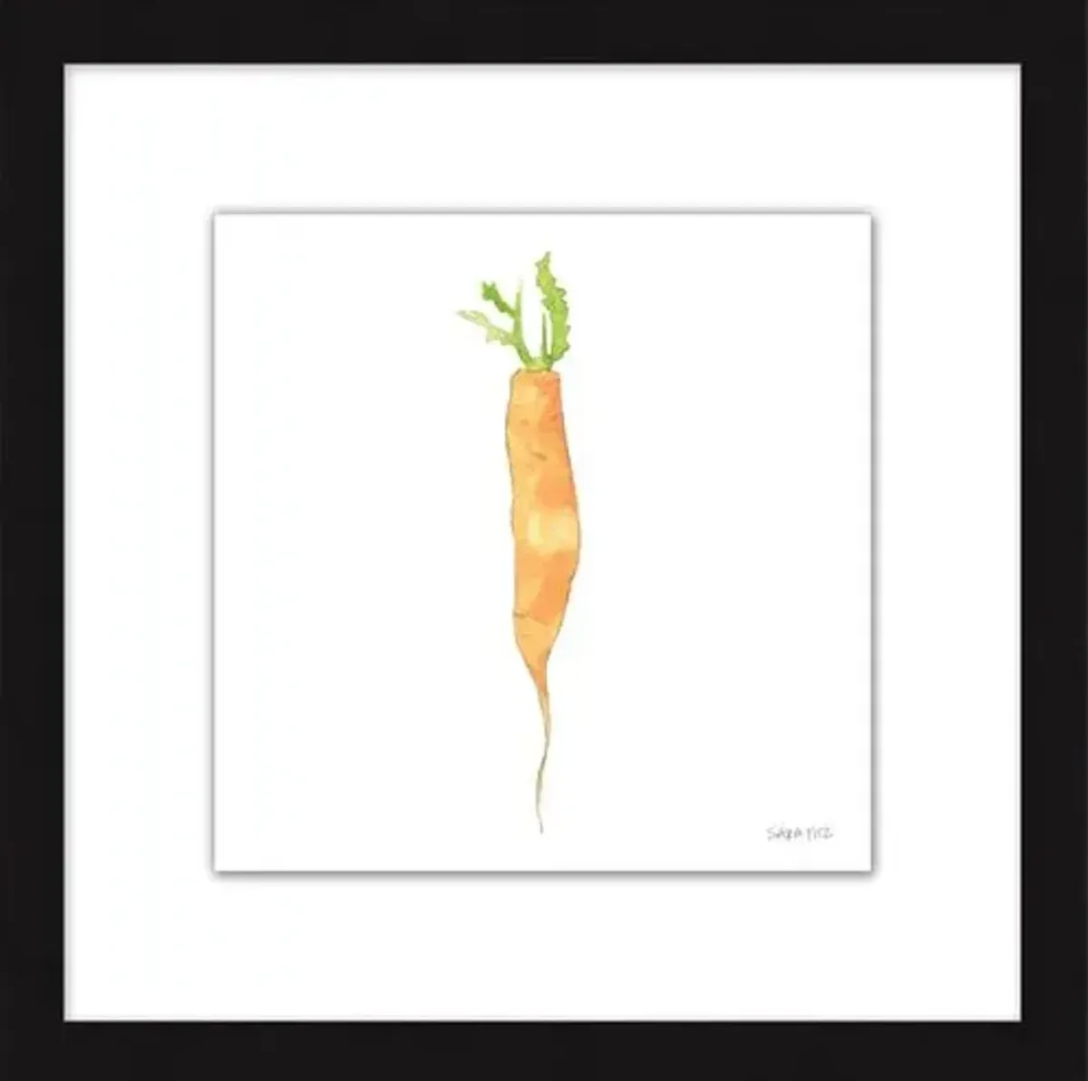 Sara Fitz - Carrot 1