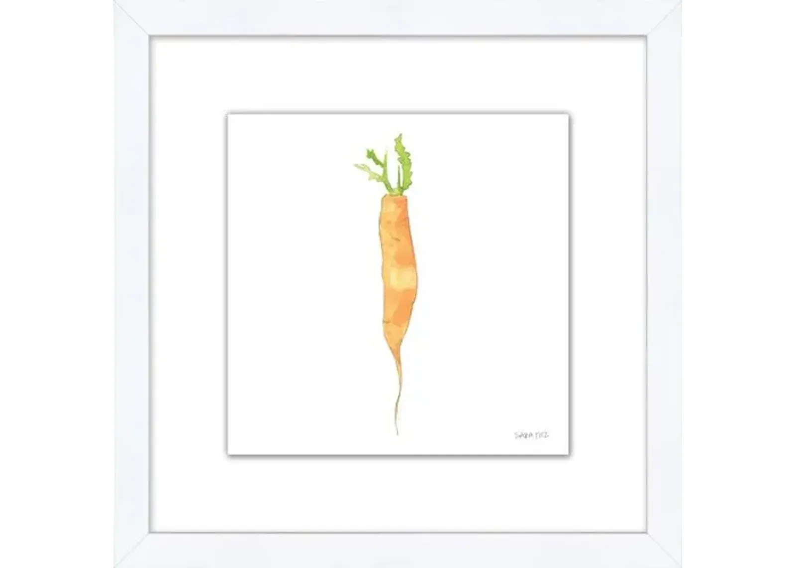 Sara Fitz - Carrot 1