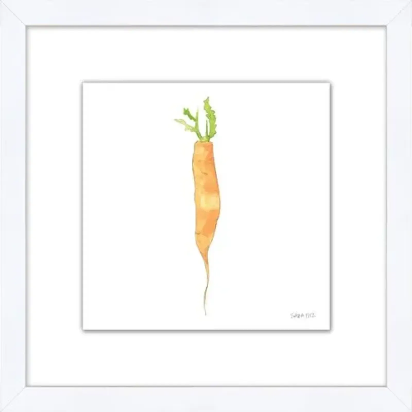 Sara Fitz - Carrot 1