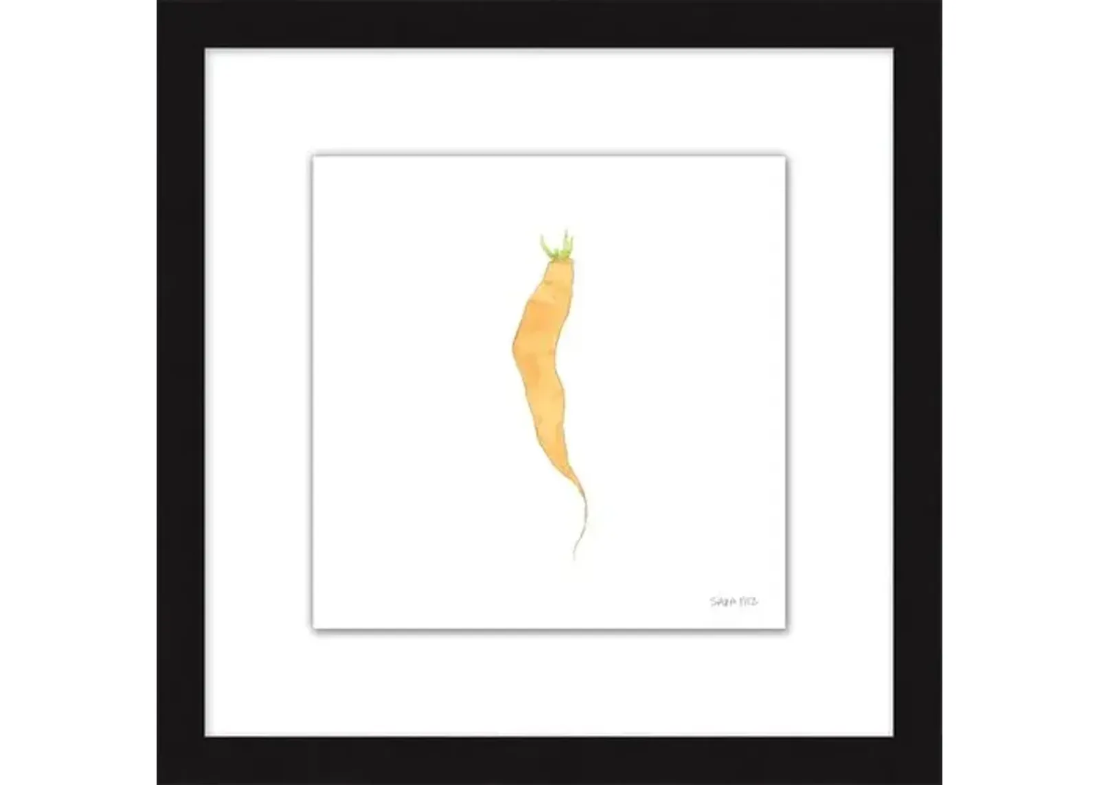 Sara Fitz - Carrot 3