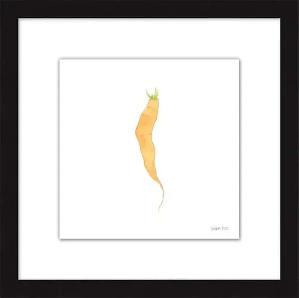 Sara Fitz - Carrot 3