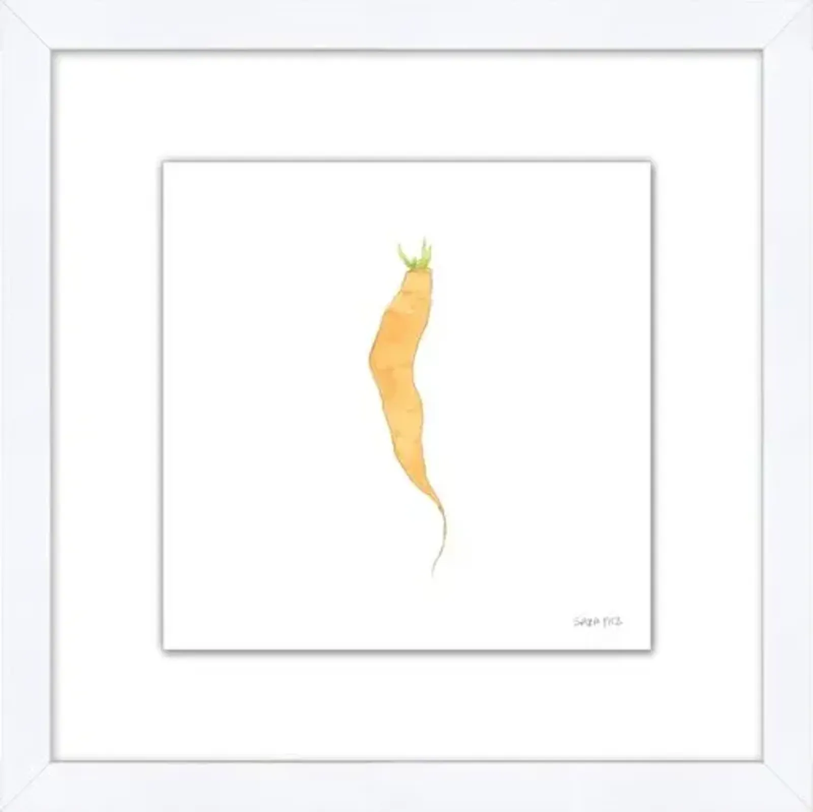 Sara Fitz - Carrot 3