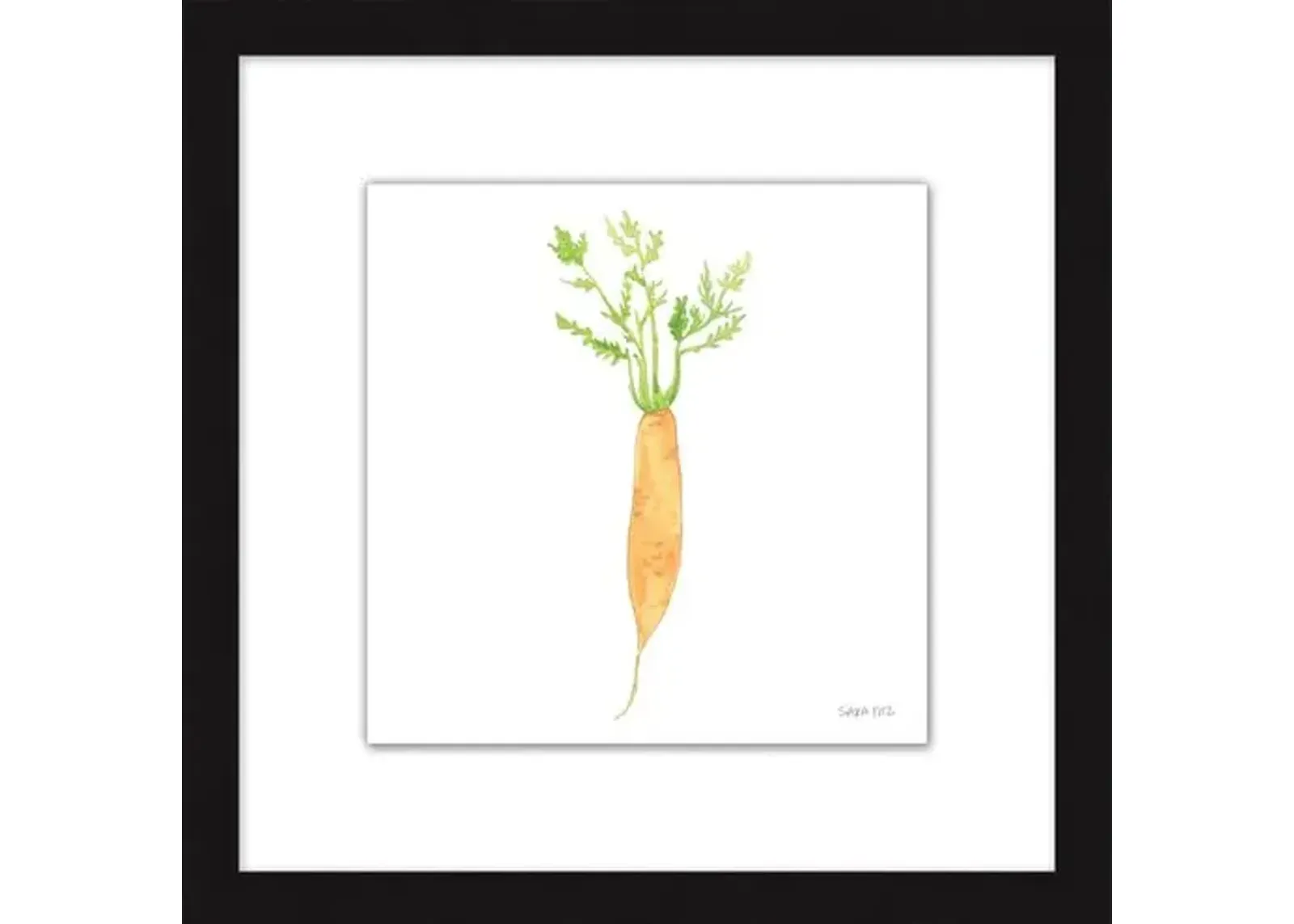 Sara Fitz - Carrot 4