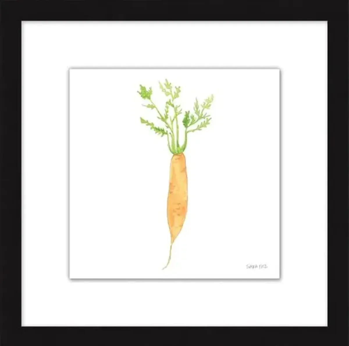 Sara Fitz - Carrot 4