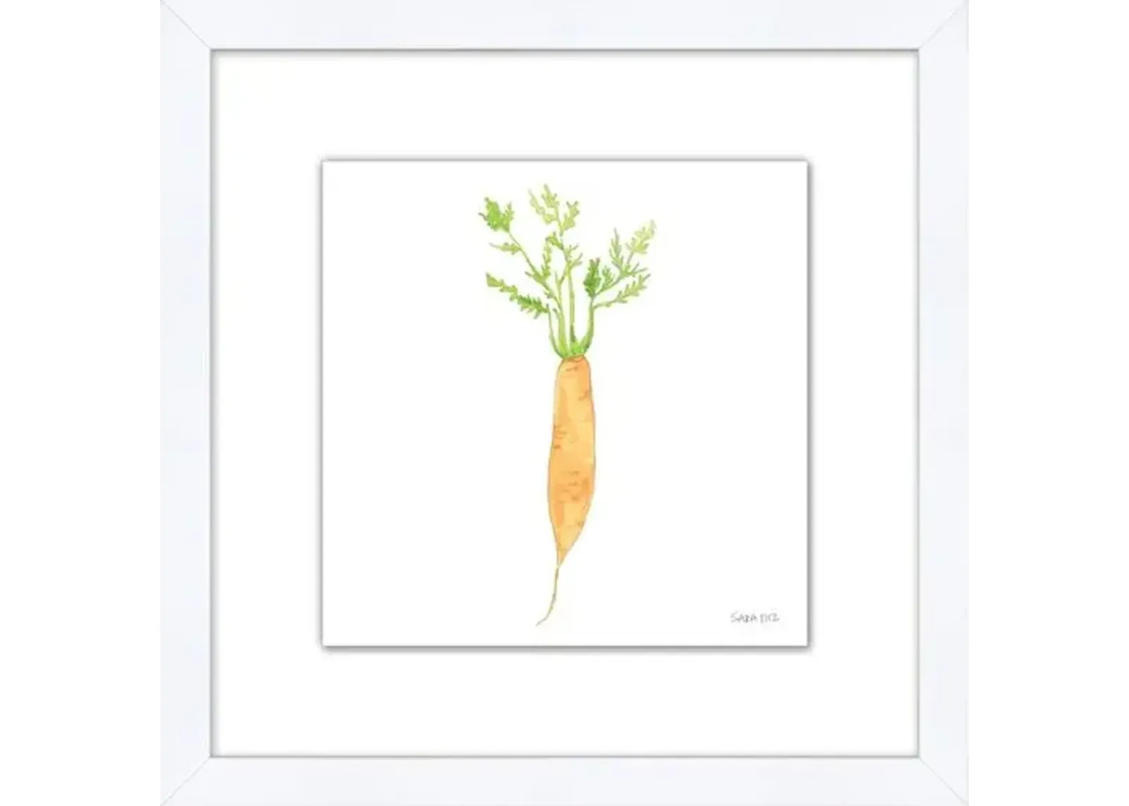 Sara Fitz - Carrot 4