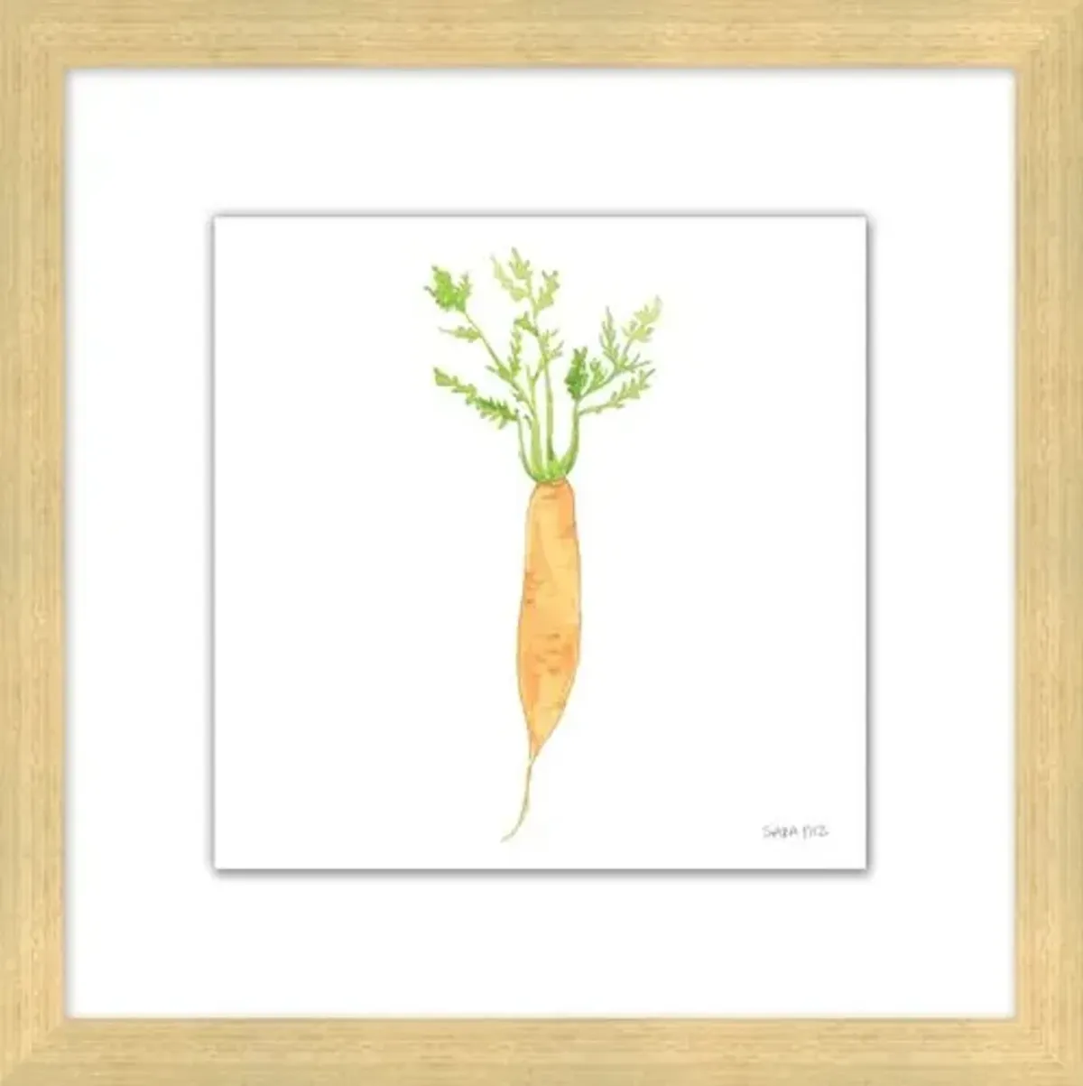 Sara Fitz - Carrot 4