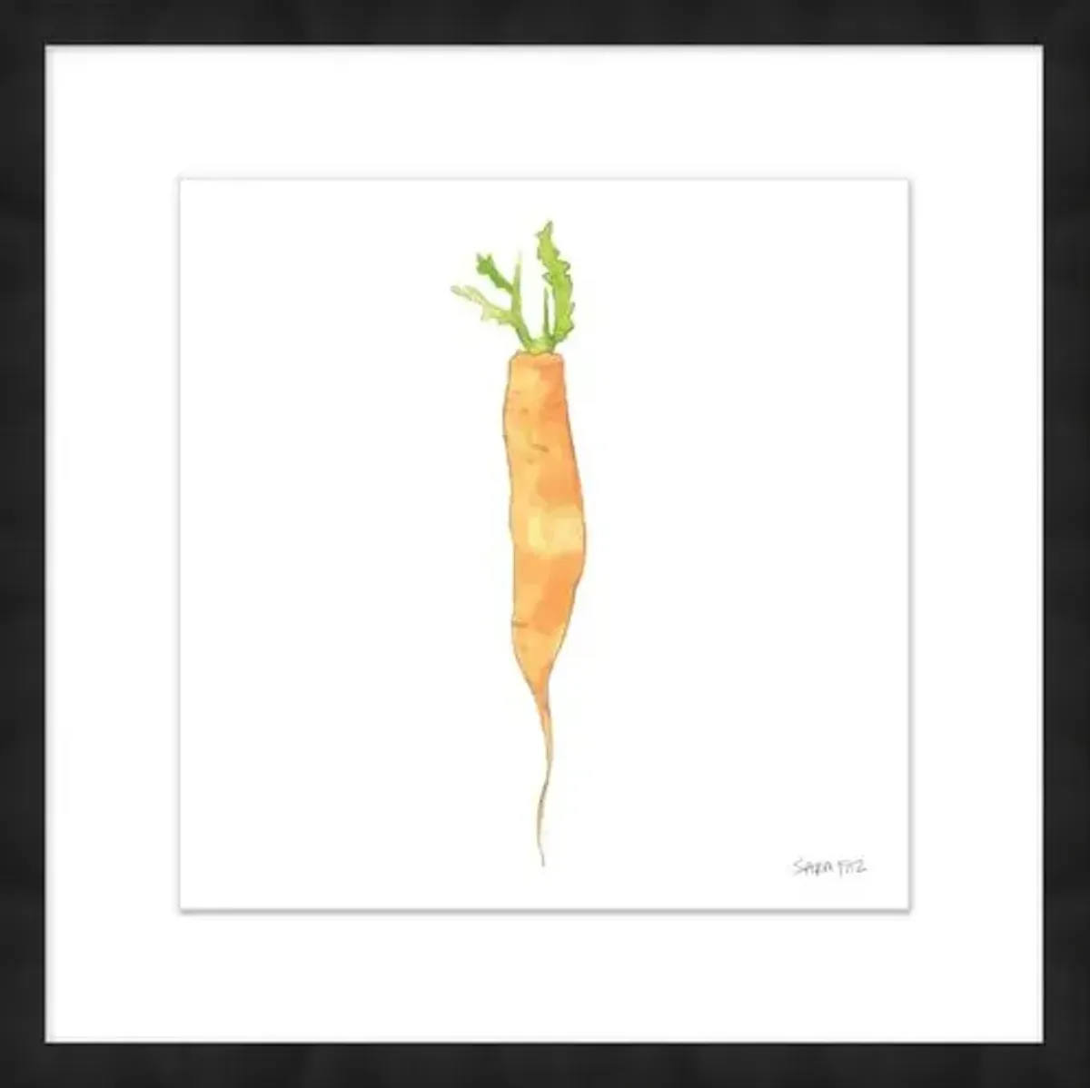 Sara Fitz - Carrot 1