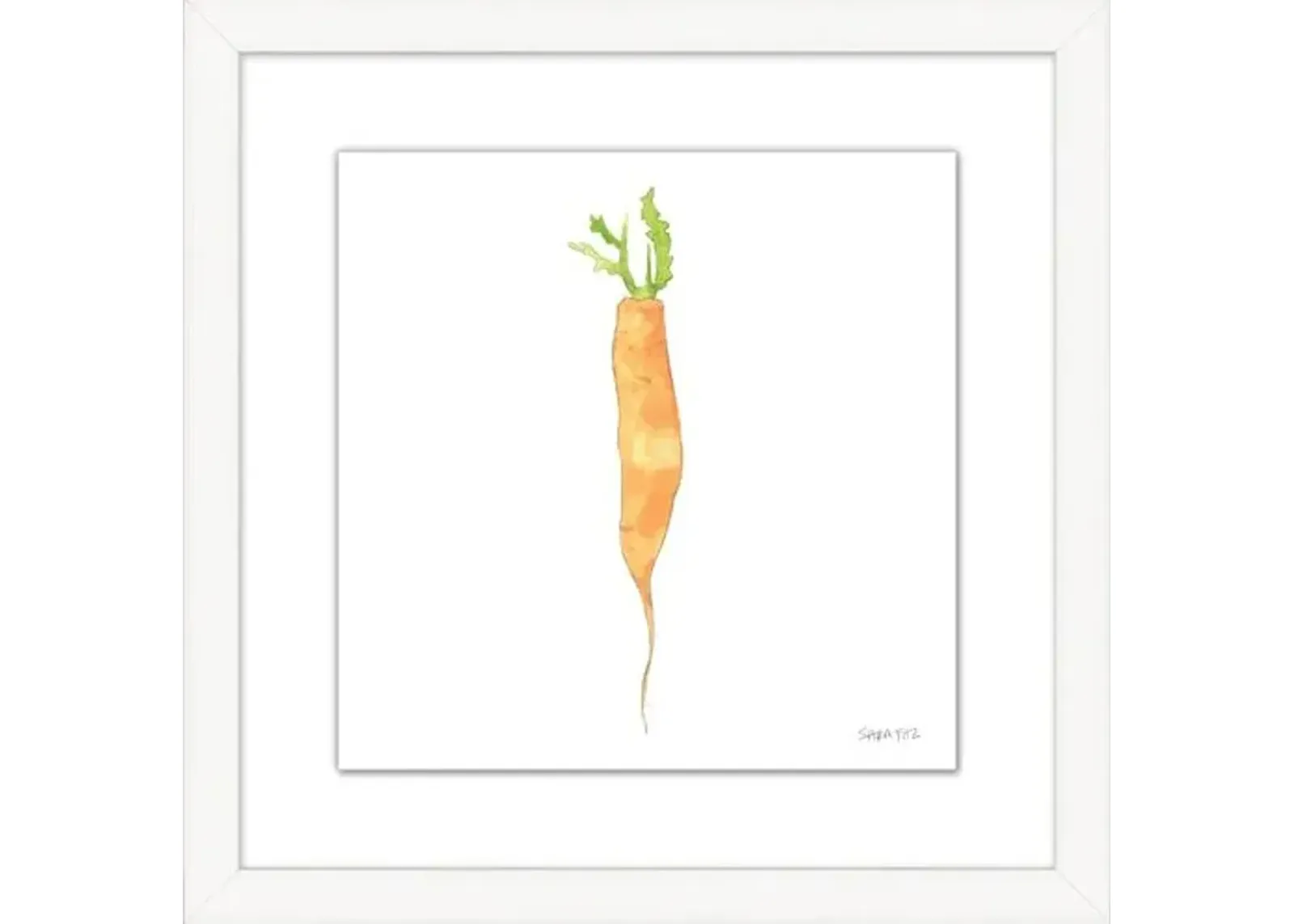 Sara Fitz - Carrot 1