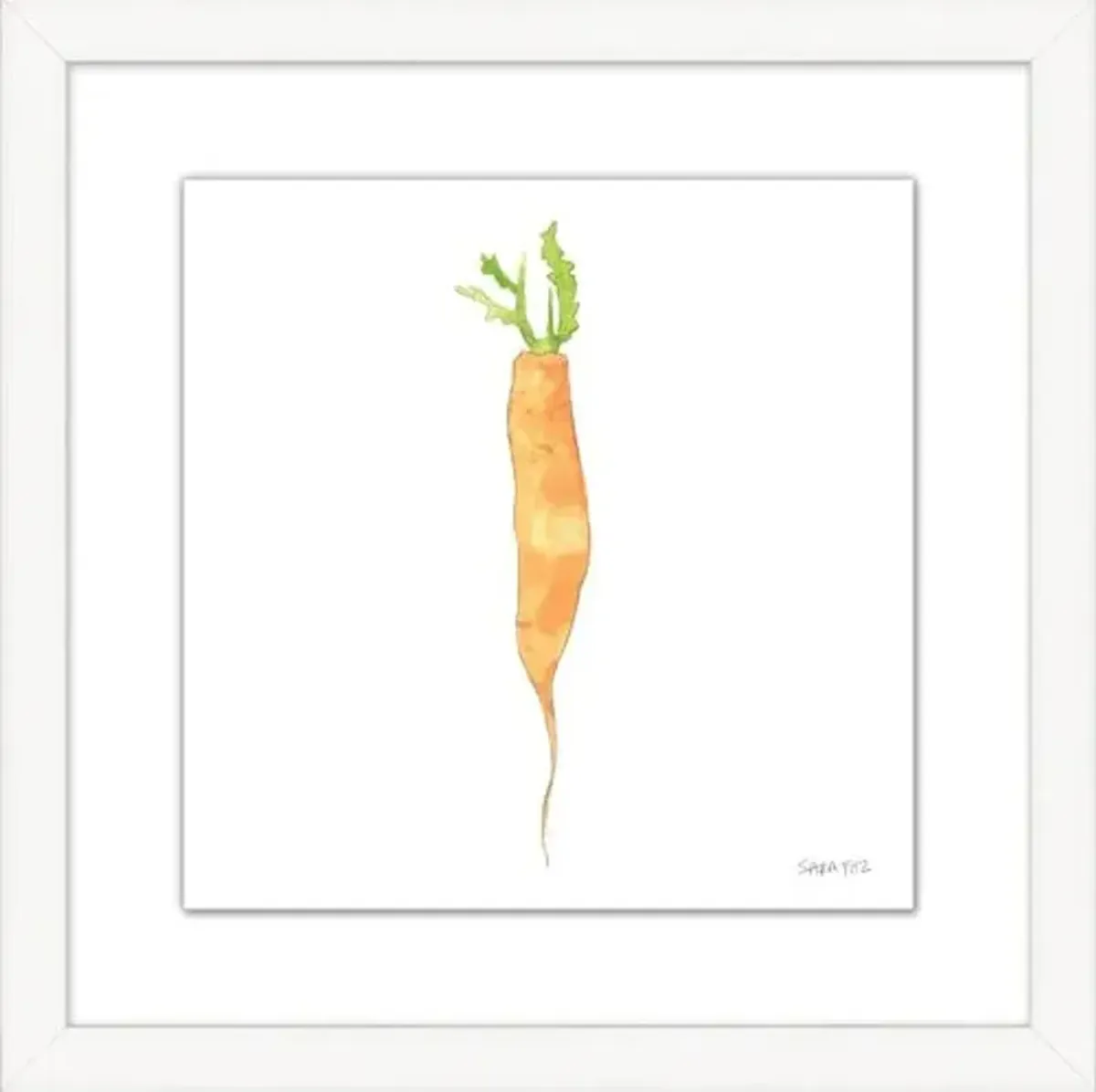 Sara Fitz - Carrot 1