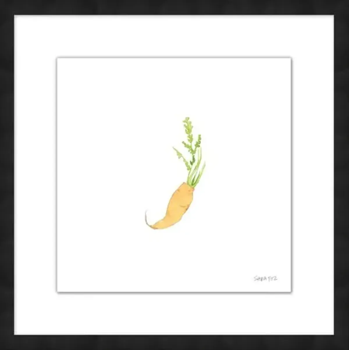 Sara Fitz - Carrot 2