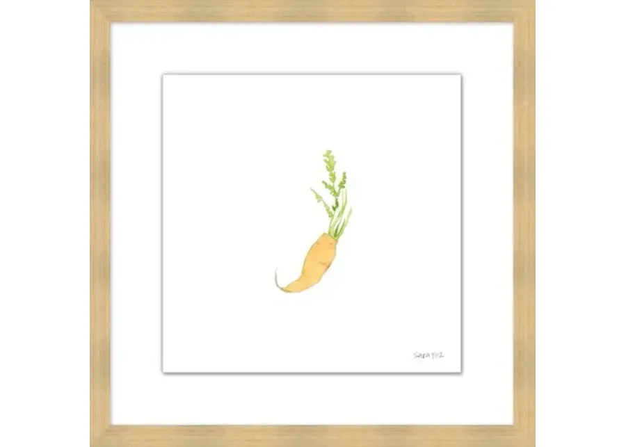 Sara Fitz - Carrot 2