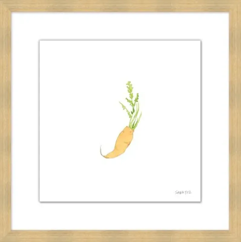 Sara Fitz - Carrot 2