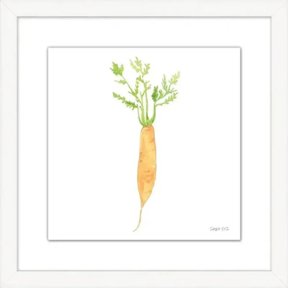 Sara Fitz - Carrot 4