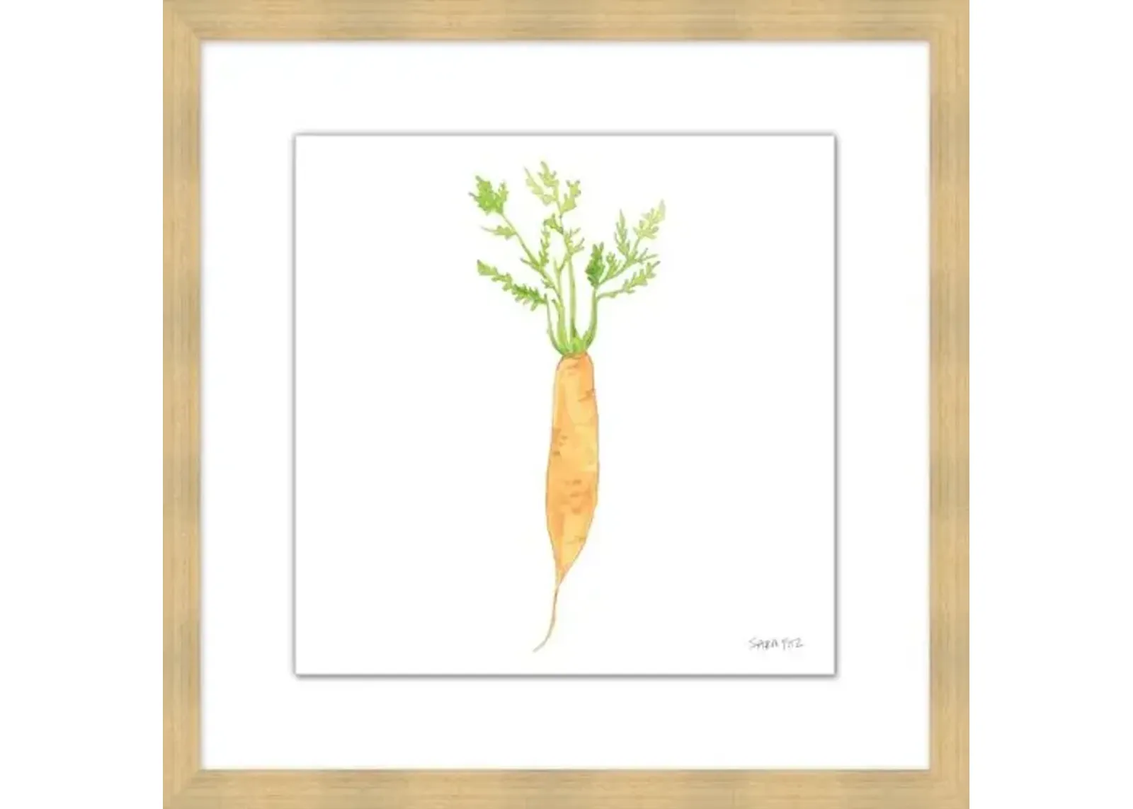 Sara Fitz - Carrot 4