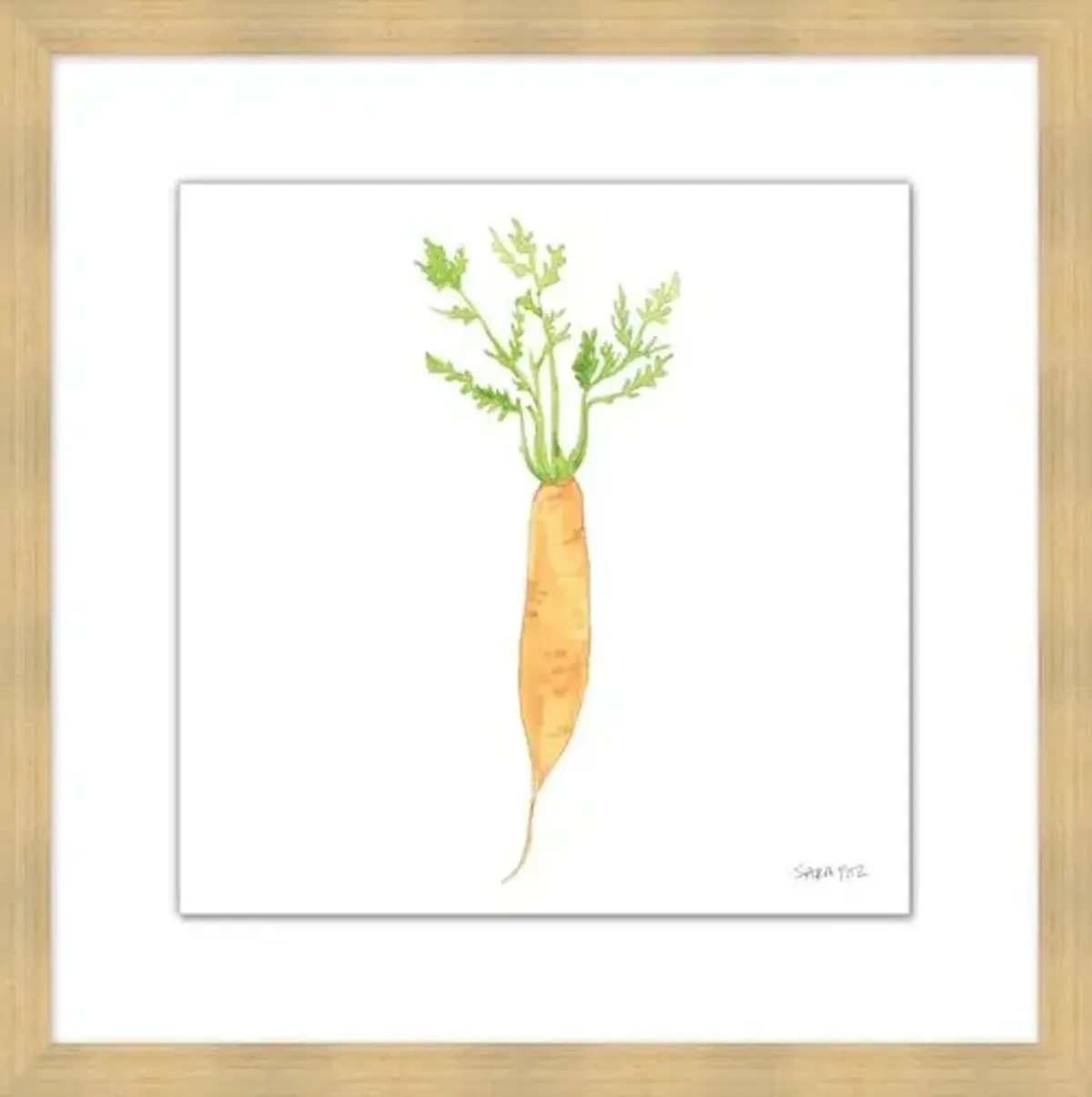 Sara Fitz - Carrot 4