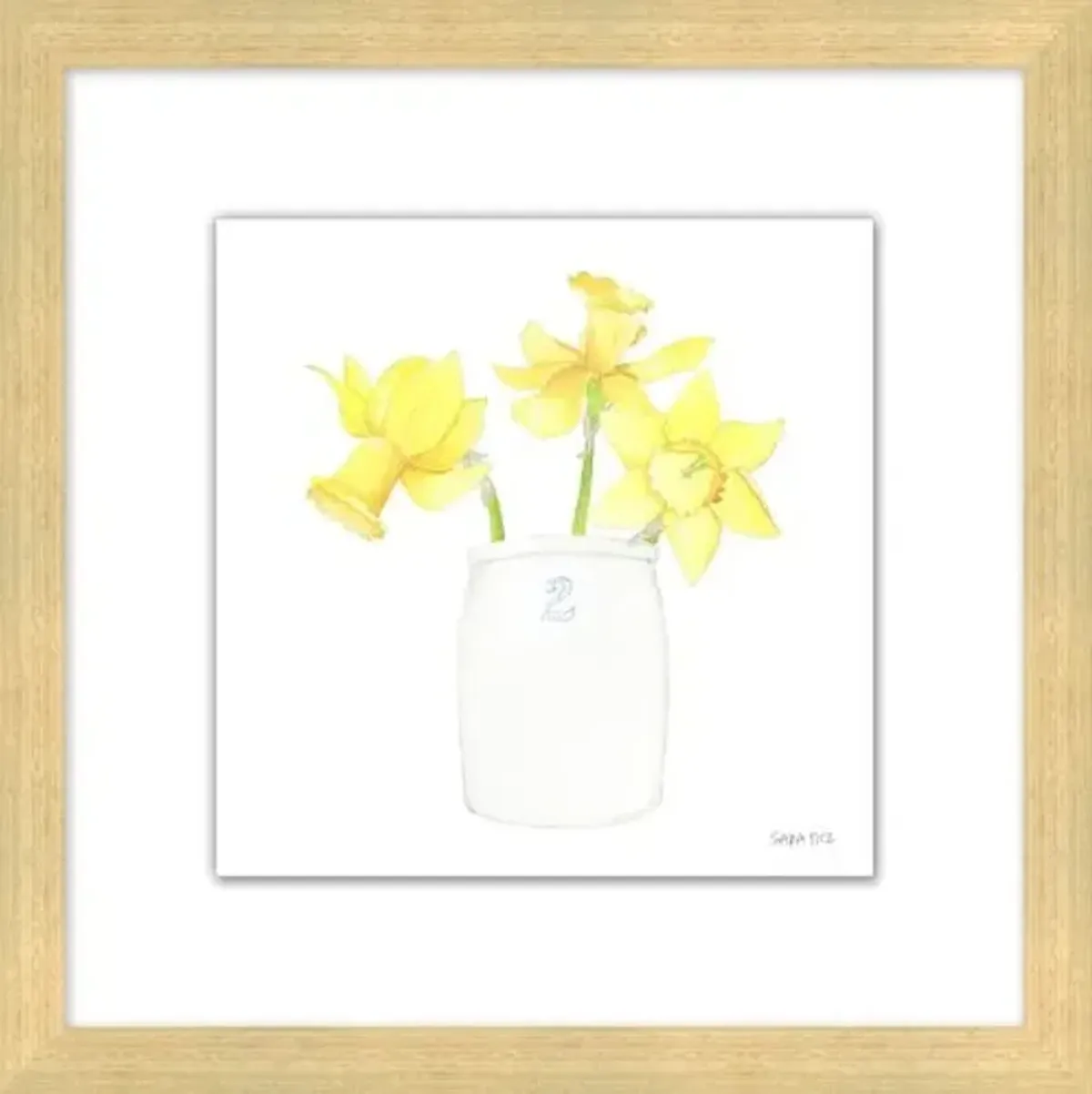 Sara Fitz - Daffodil