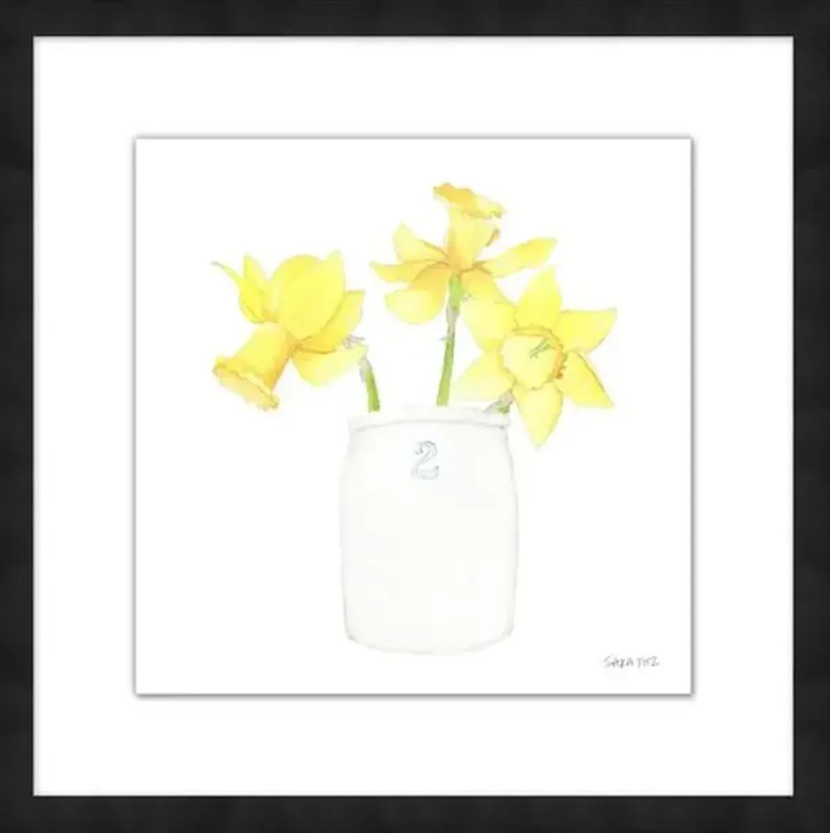 Sara Fitz - Daffodil