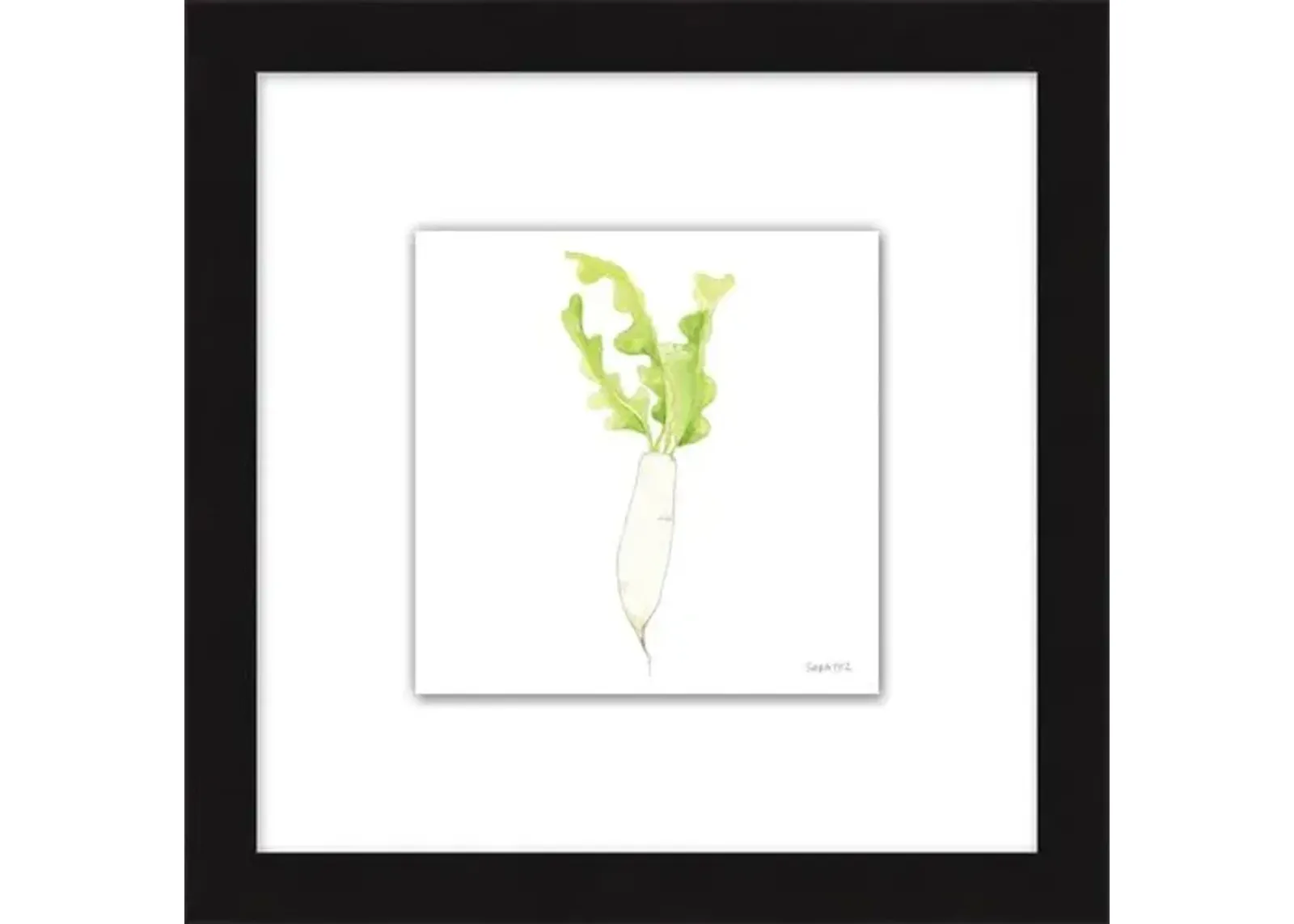 Sara Fitz - Daikon 1