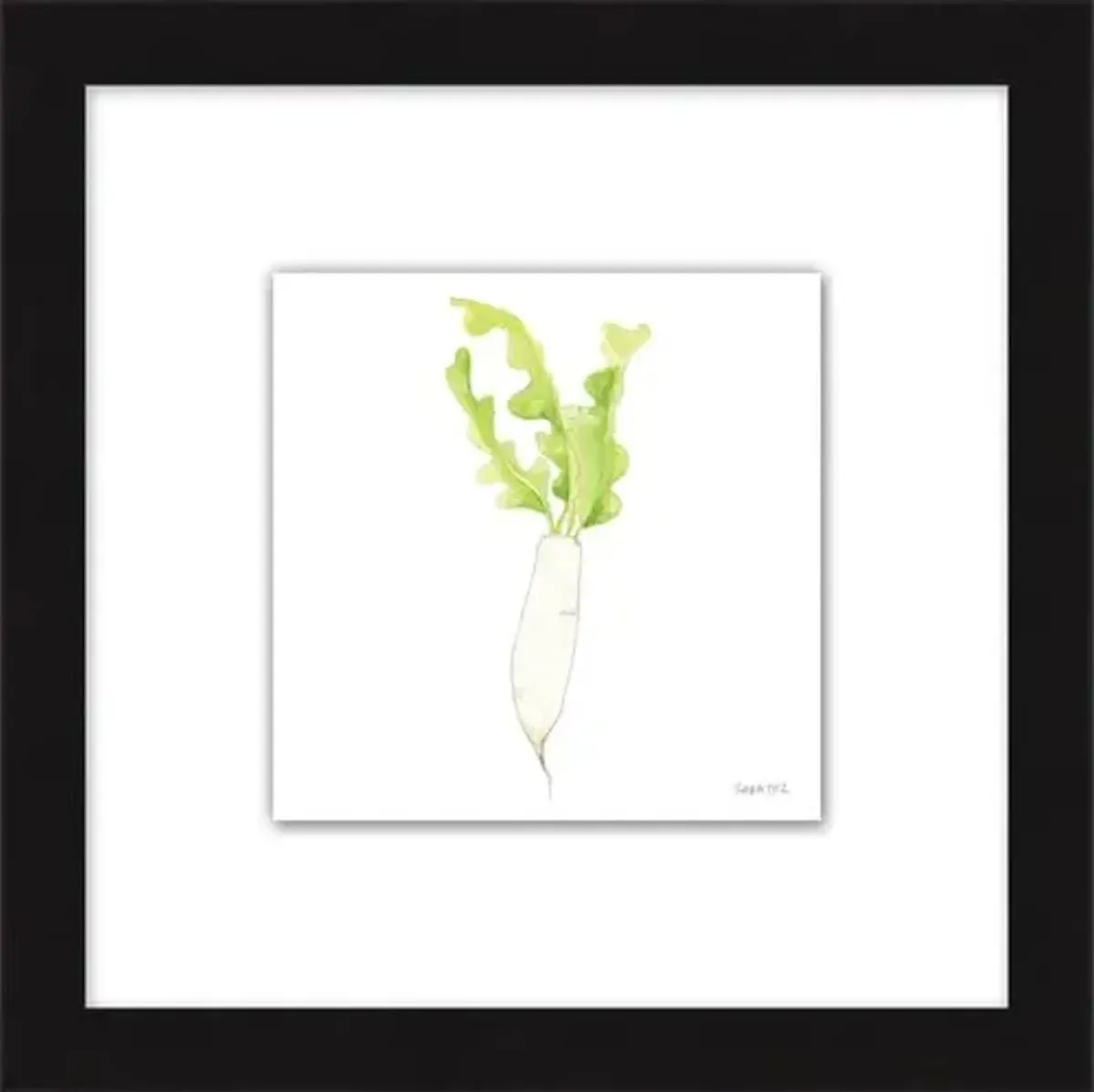 Sara Fitz - Daikon 1