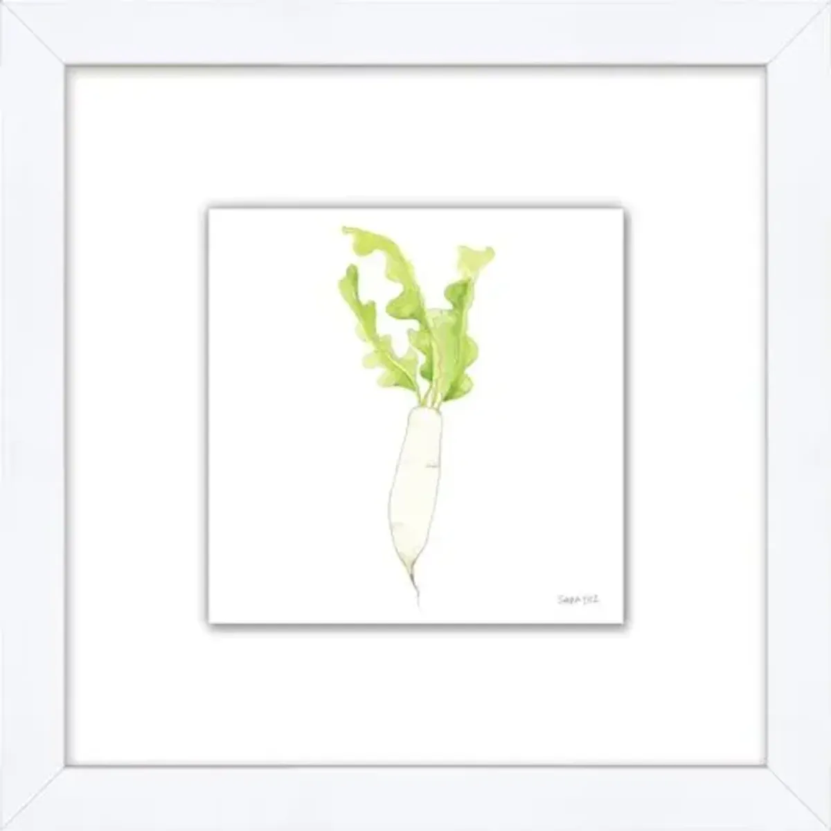 Sara Fitz - Daikon 1