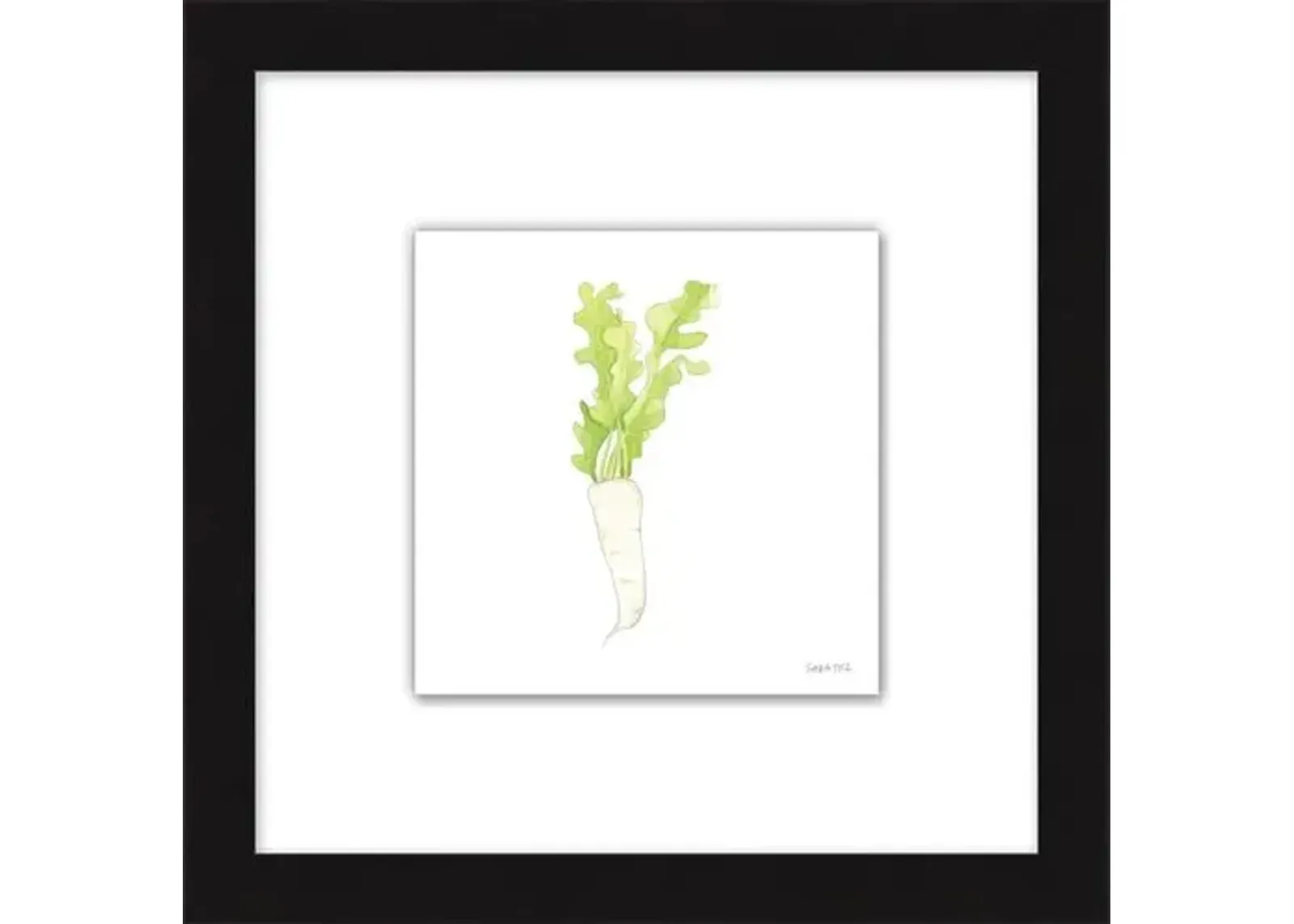 Sara Fitz - Daikon 2