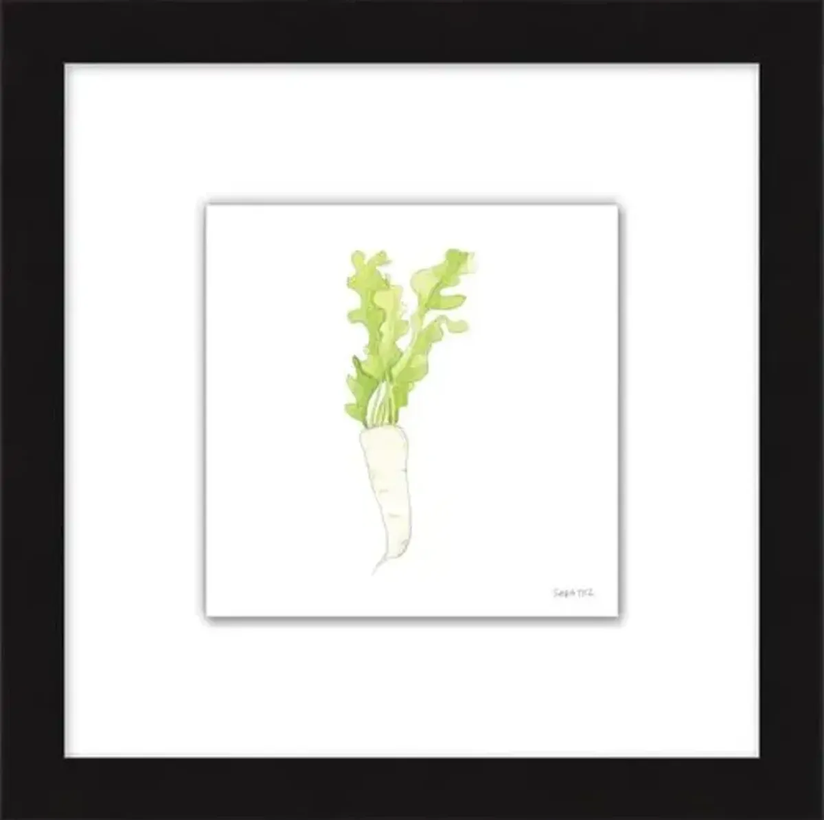 Sara Fitz - Daikon 2