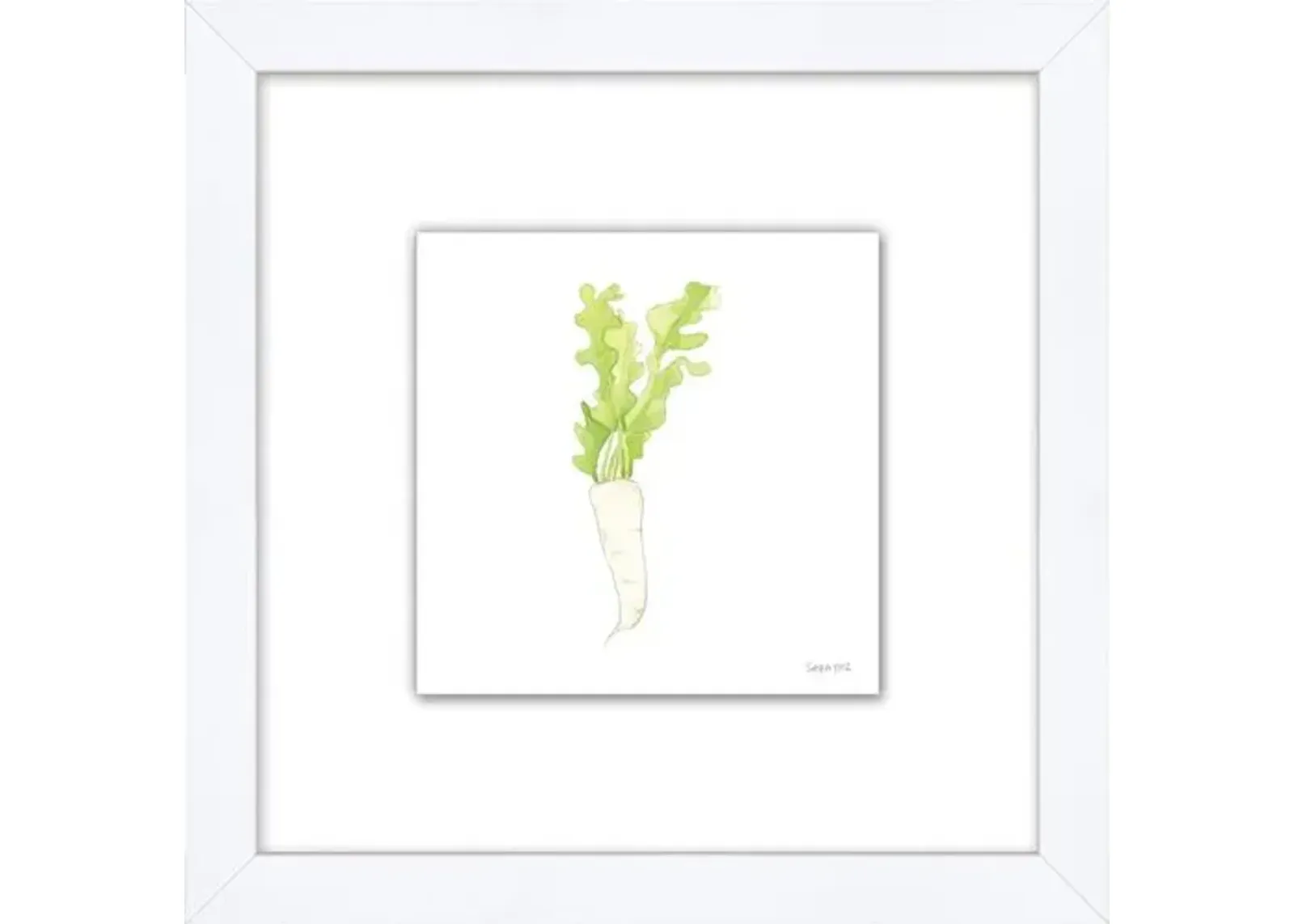 Sara Fitz - Daikon 2