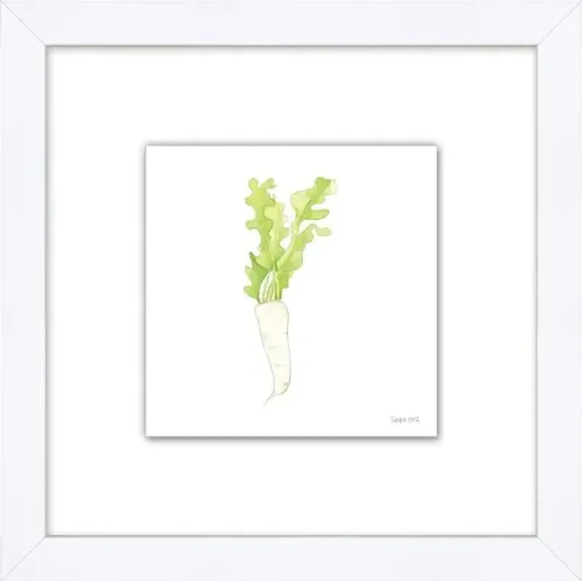 Sara Fitz - Daikon 2