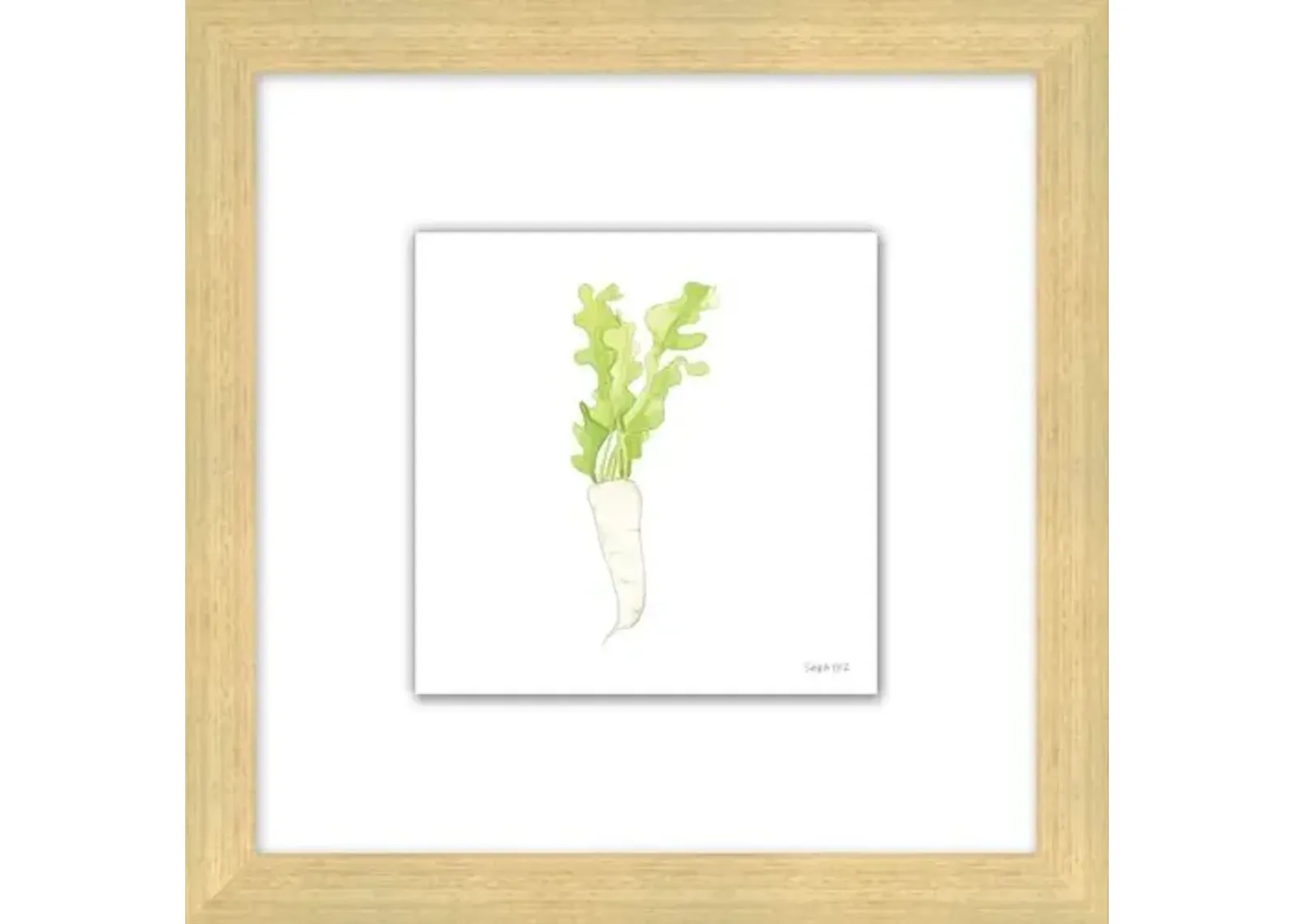 Sara Fitz - Daikon 2