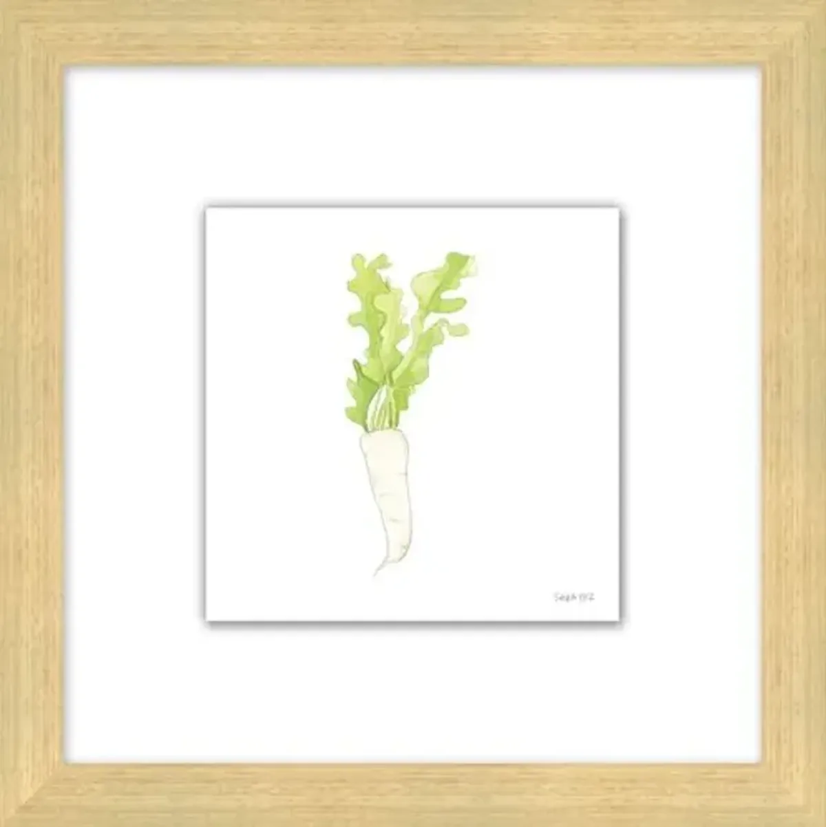 Sara Fitz - Daikon 2