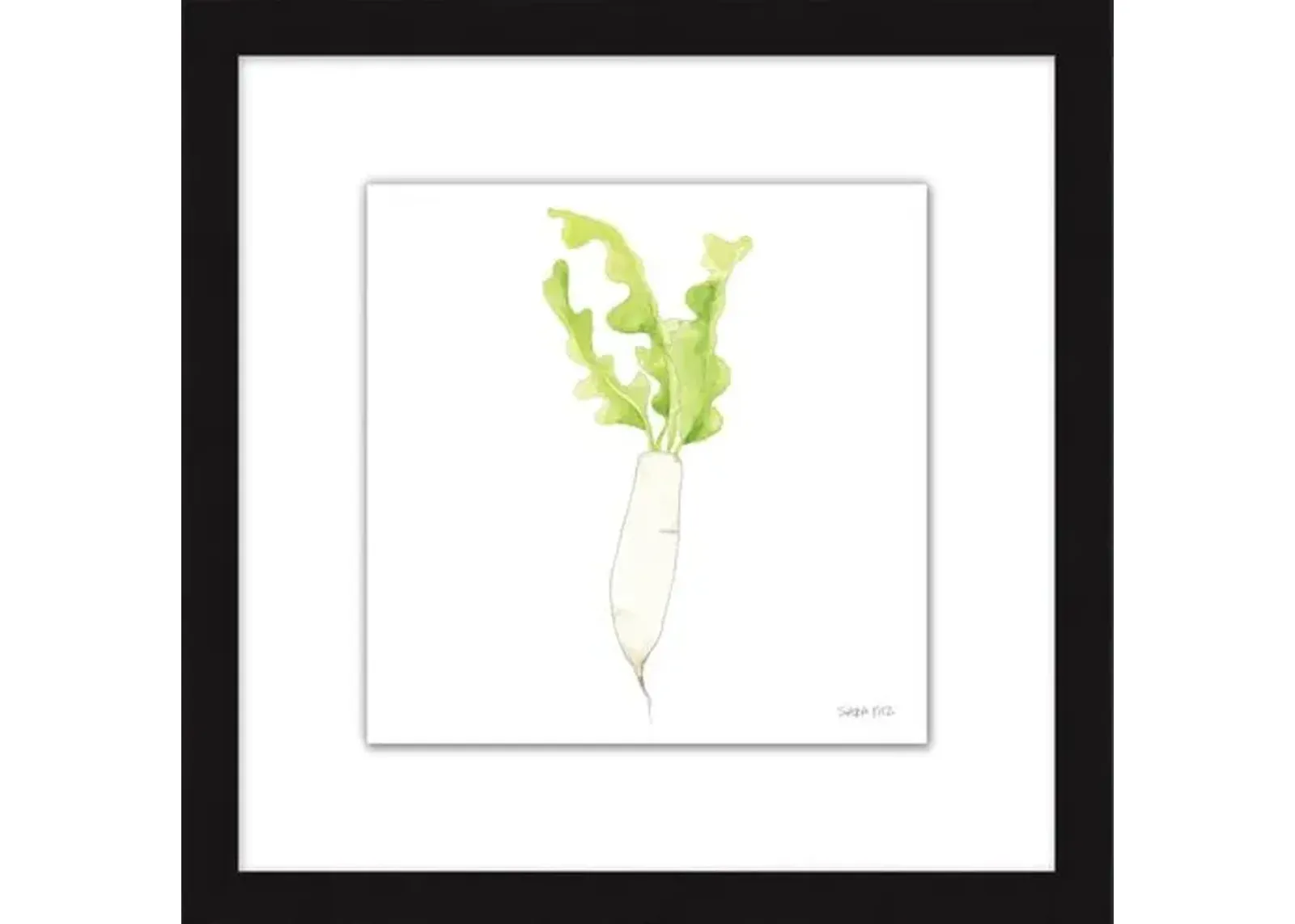 Sara Fitz - Daikon 1