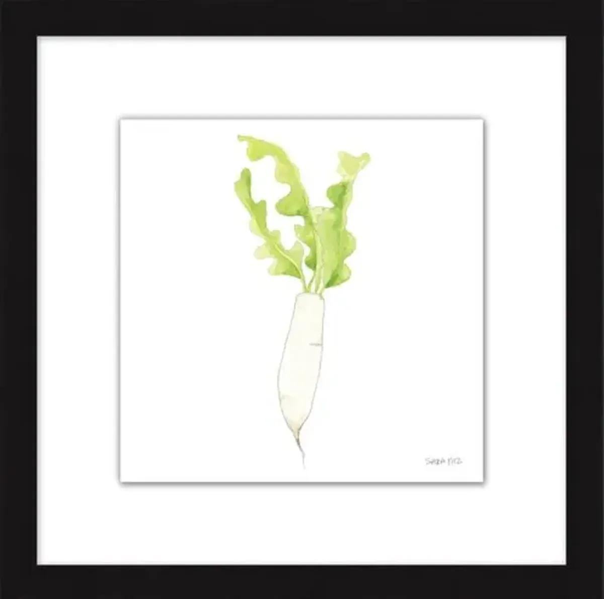 Sara Fitz - Daikon 1