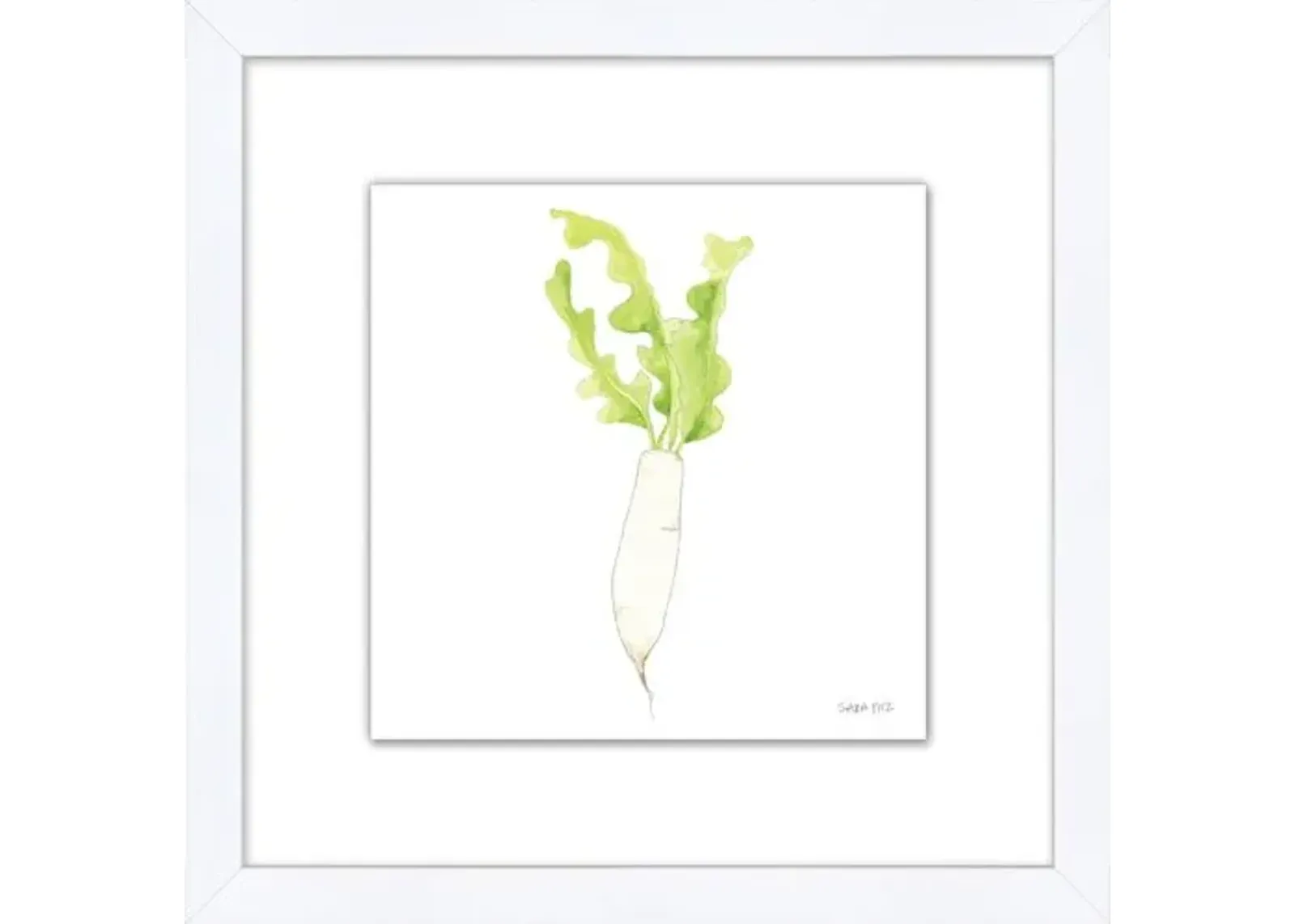 Sara Fitz - Daikon 1